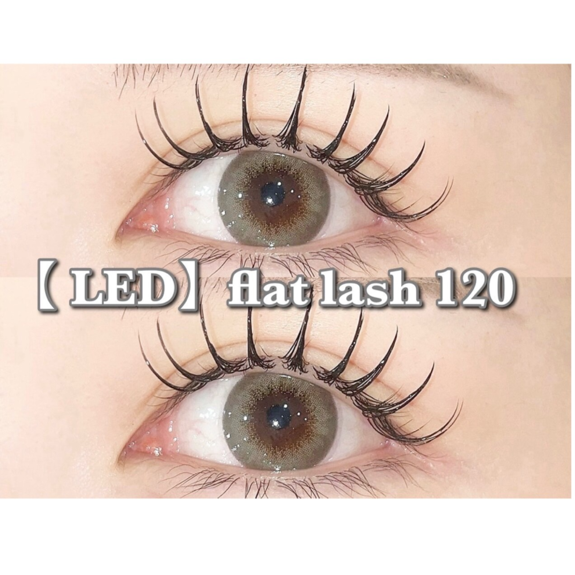 【LED】フラットラッシュ120本