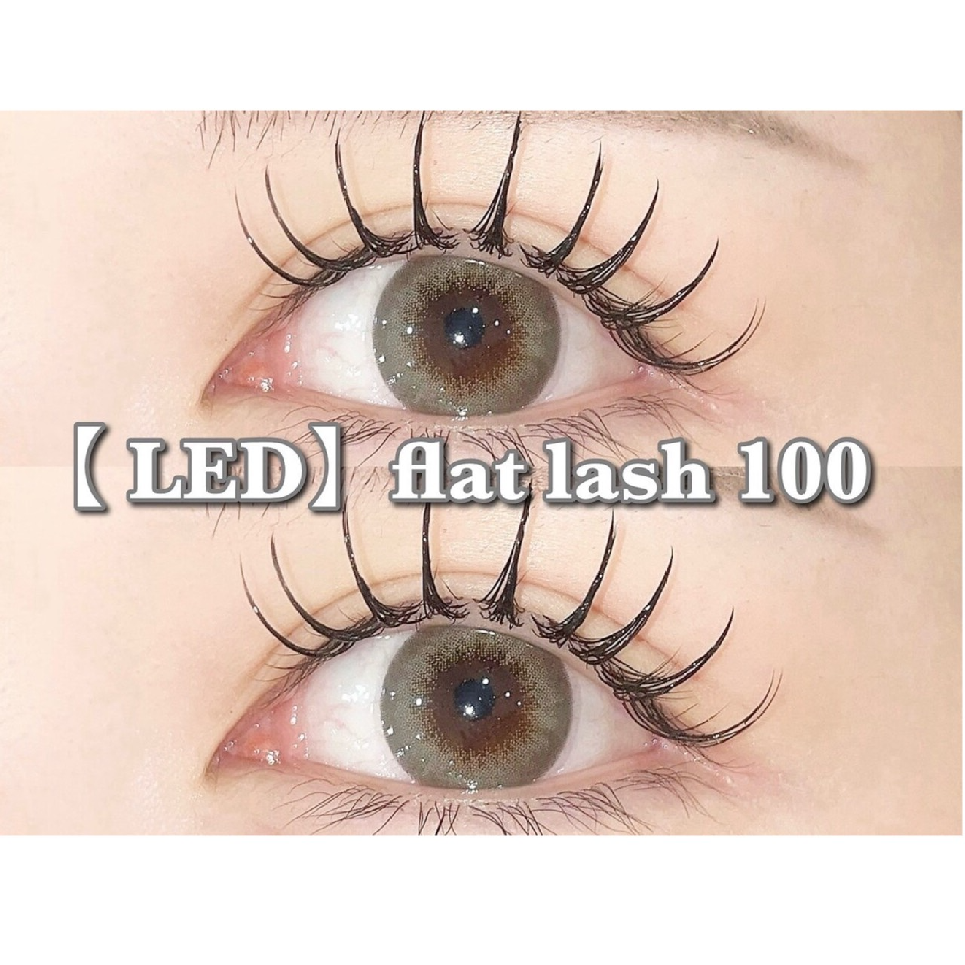 【LED】フラットラッシュ100本