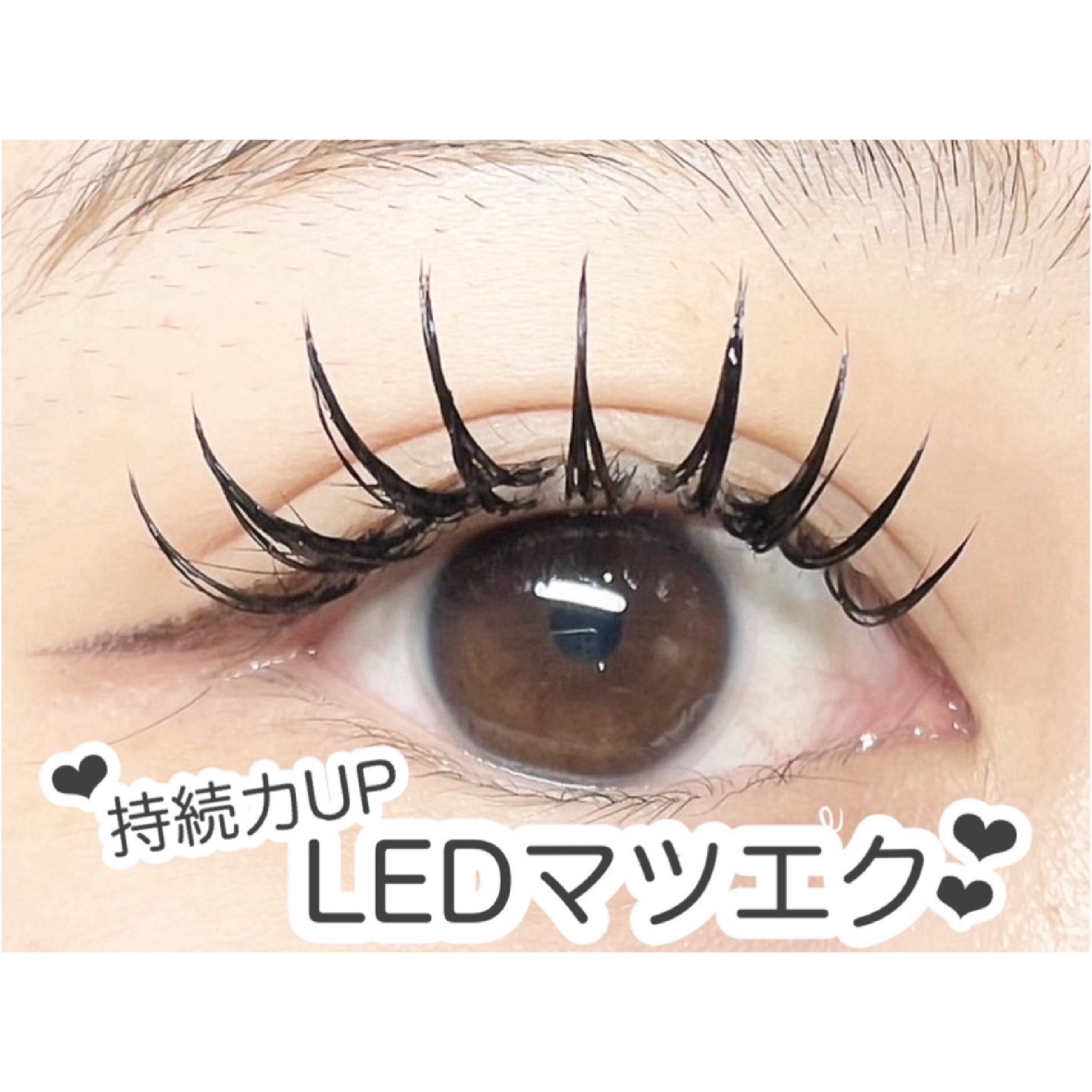 【LED】フラットラッシュ140本