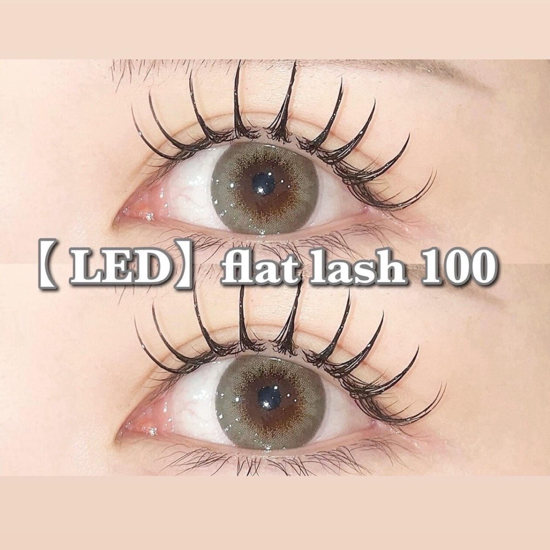 【LED】フラットラッシュ100本
