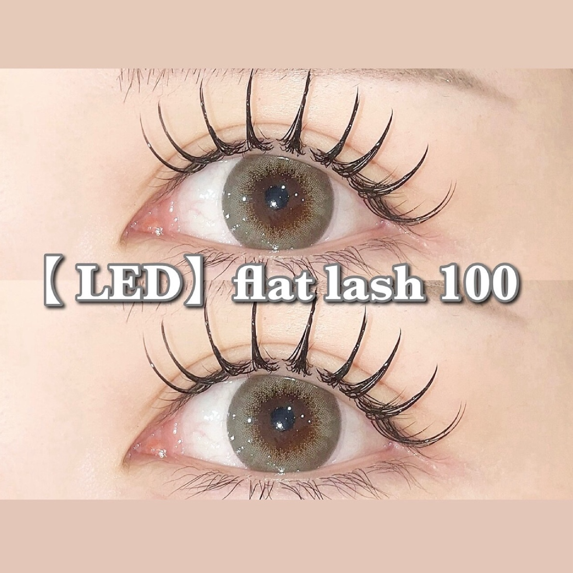 【LED】フラットラッシュ100本