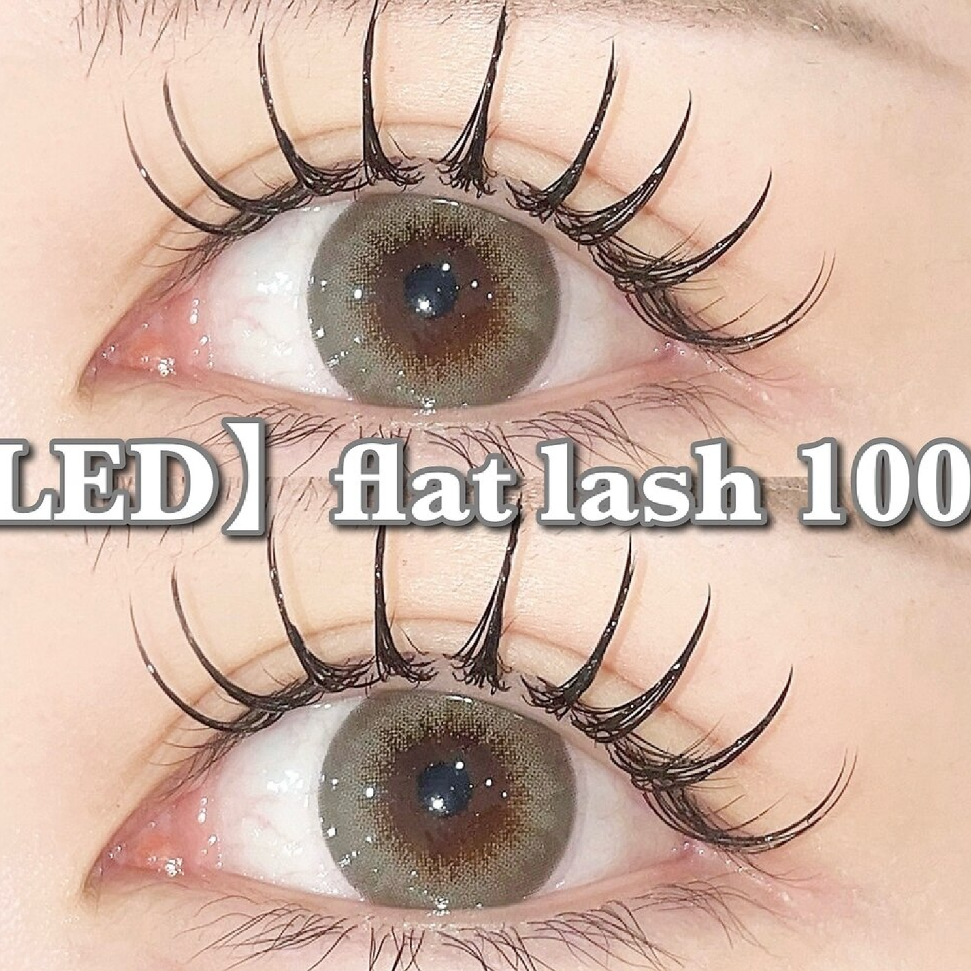 LEDマツエクフラットラッシュ100本(オフ込)