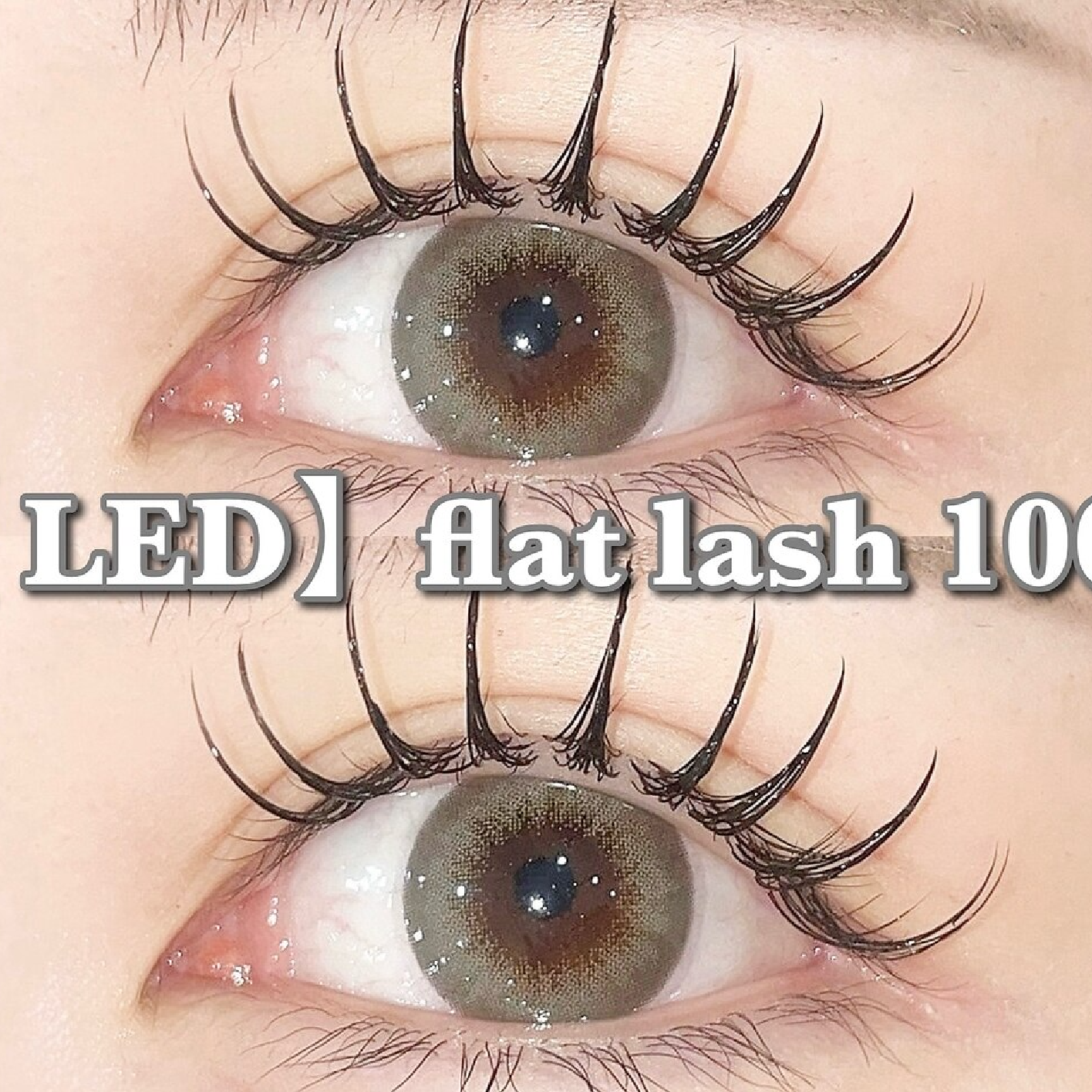 LEDマツエクフラットラッシュ100本(オフ込)