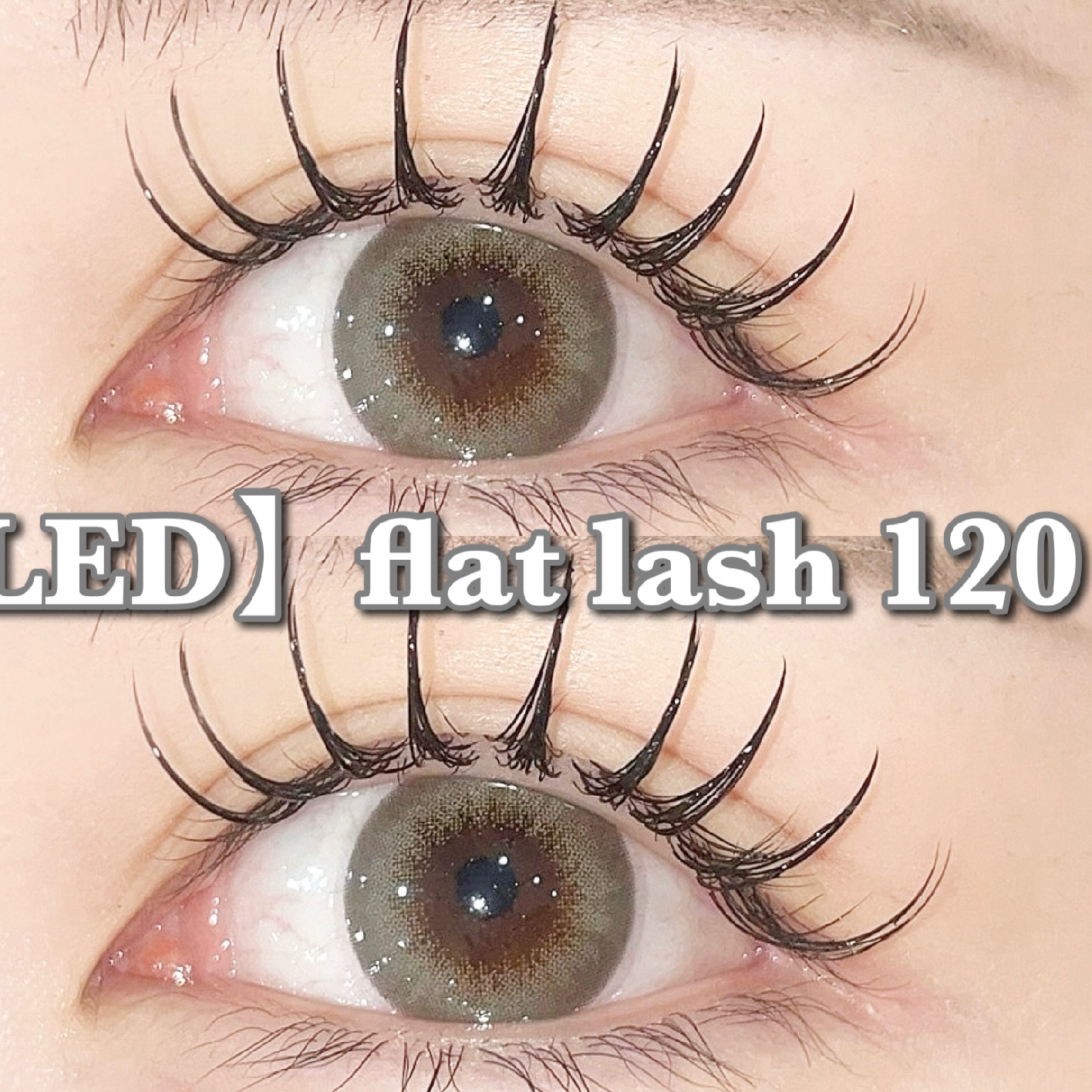 【LEDマツエク】高持続LEDフラットラッシュ120本［オフ込］