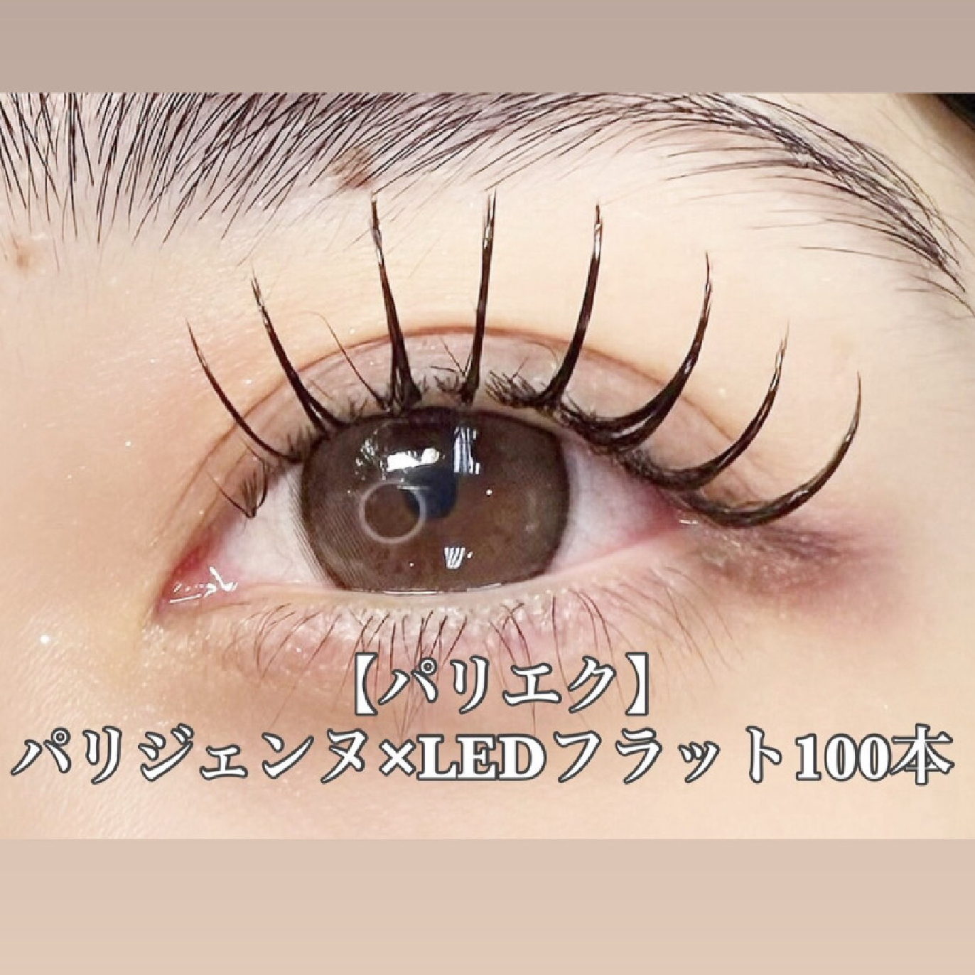 【LEDパリエク】長持ち★パリジェンヌ×LEDフラットラッシュ100本(オフ込)