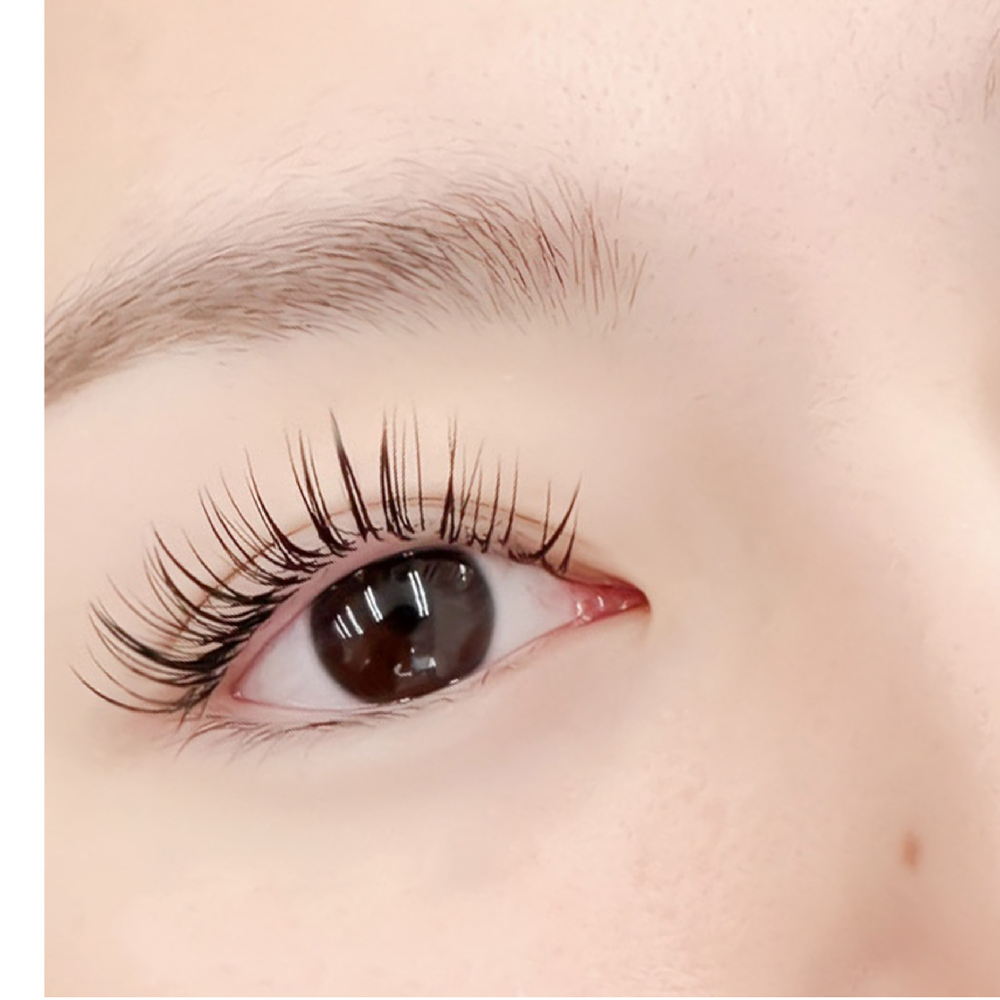 &Healthy【フラットラッシュ100～120本＋まつげパーマ】¥10430