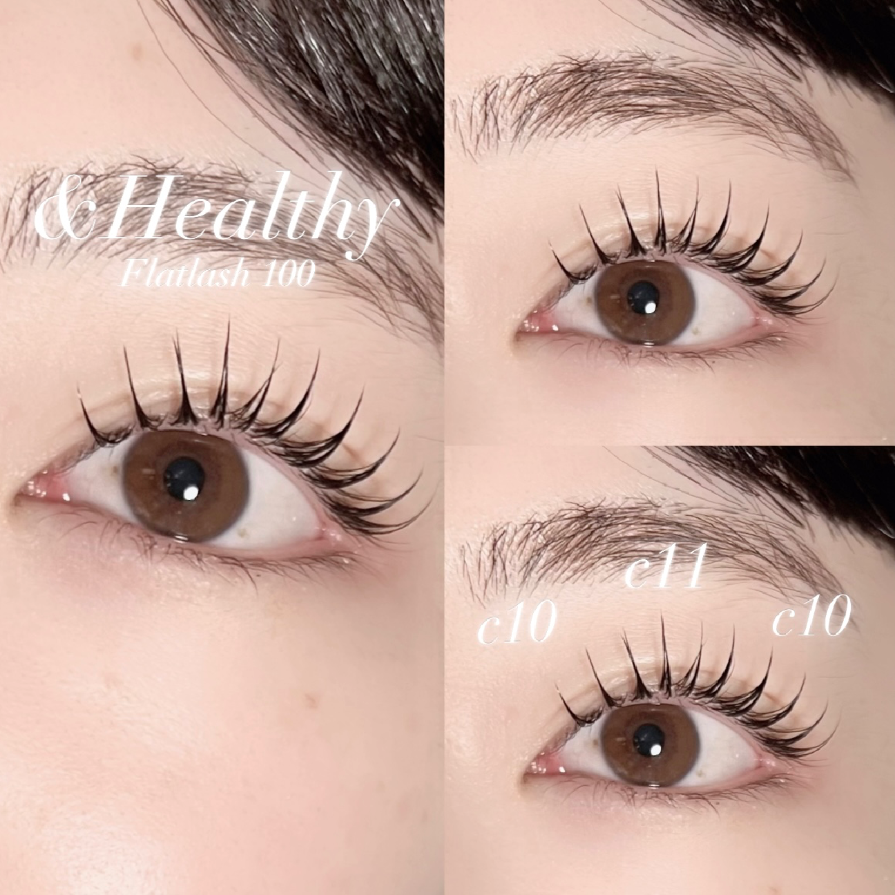 &Healthy Flatlash 100本「LED +¥1000」