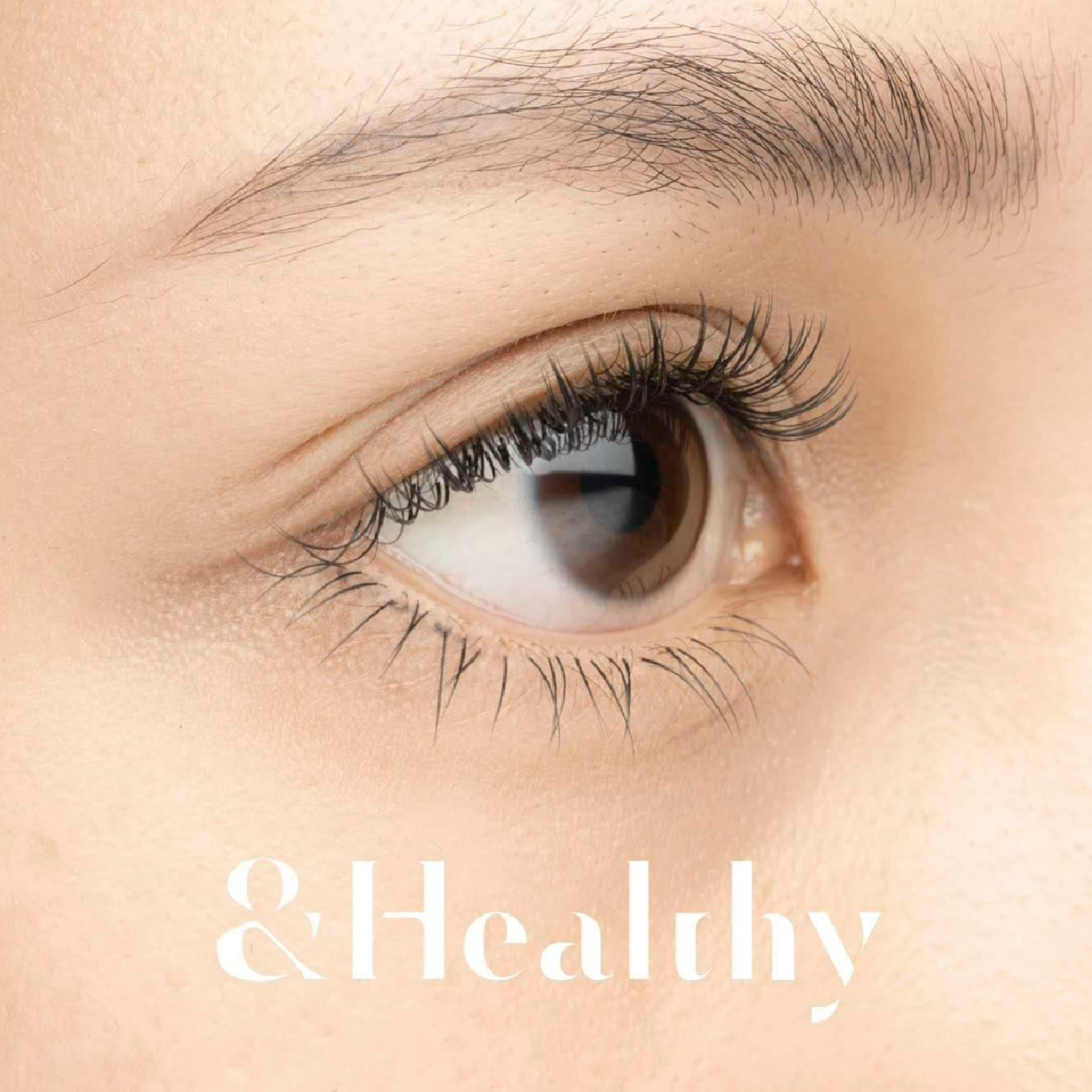 &Healthy バインドロック 60束 「LED +¥1000」