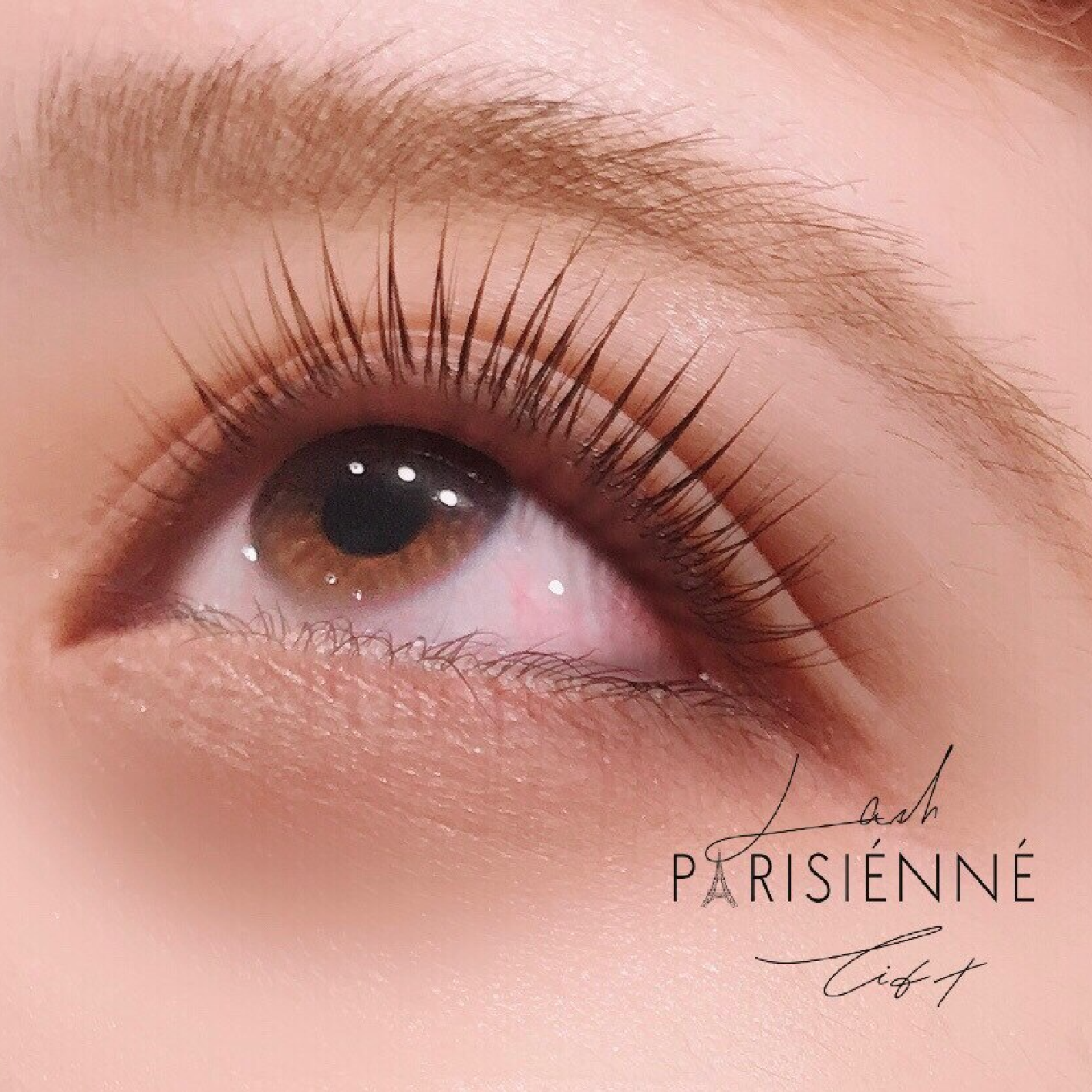 パリジェンヌラッシュリフト+アイブロウWAX脱毛/再来￥9,500