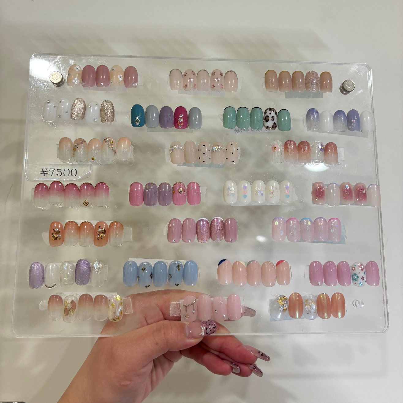 🐥定額②デザイン🐥