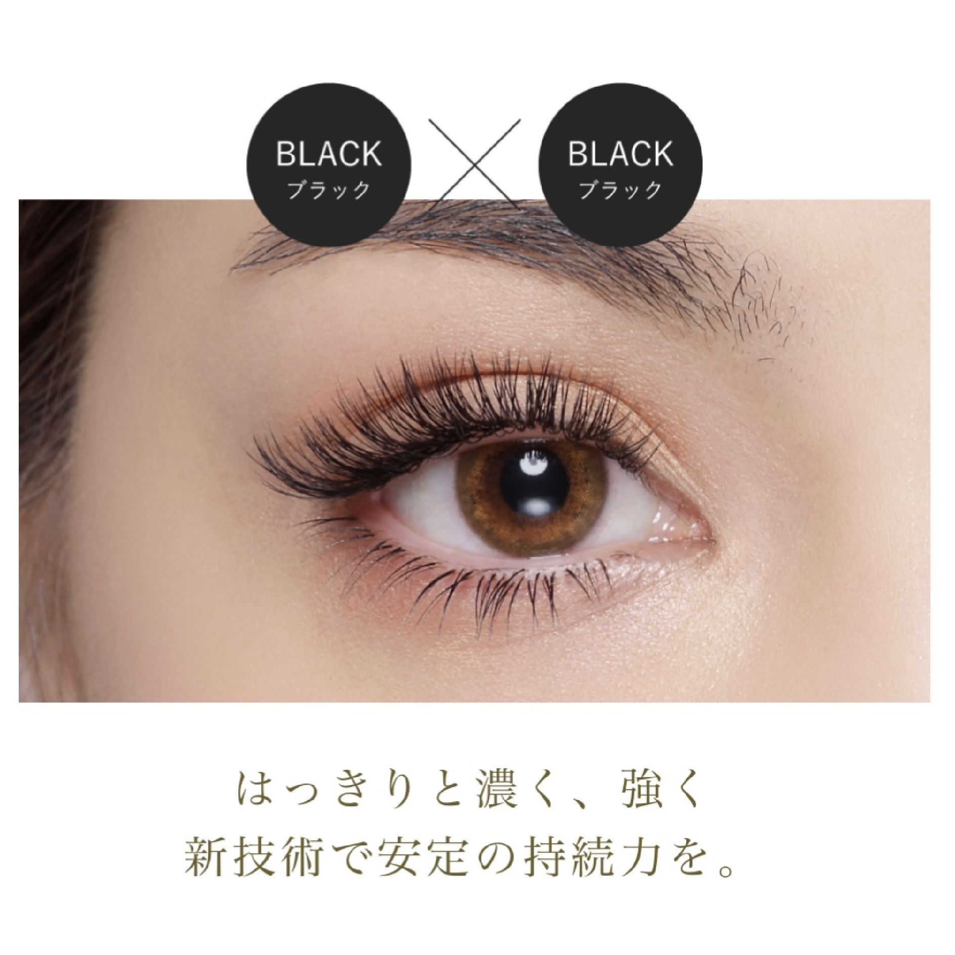 🖤持続力＆濃さ🖤バインドロック100束🦋¥10450
