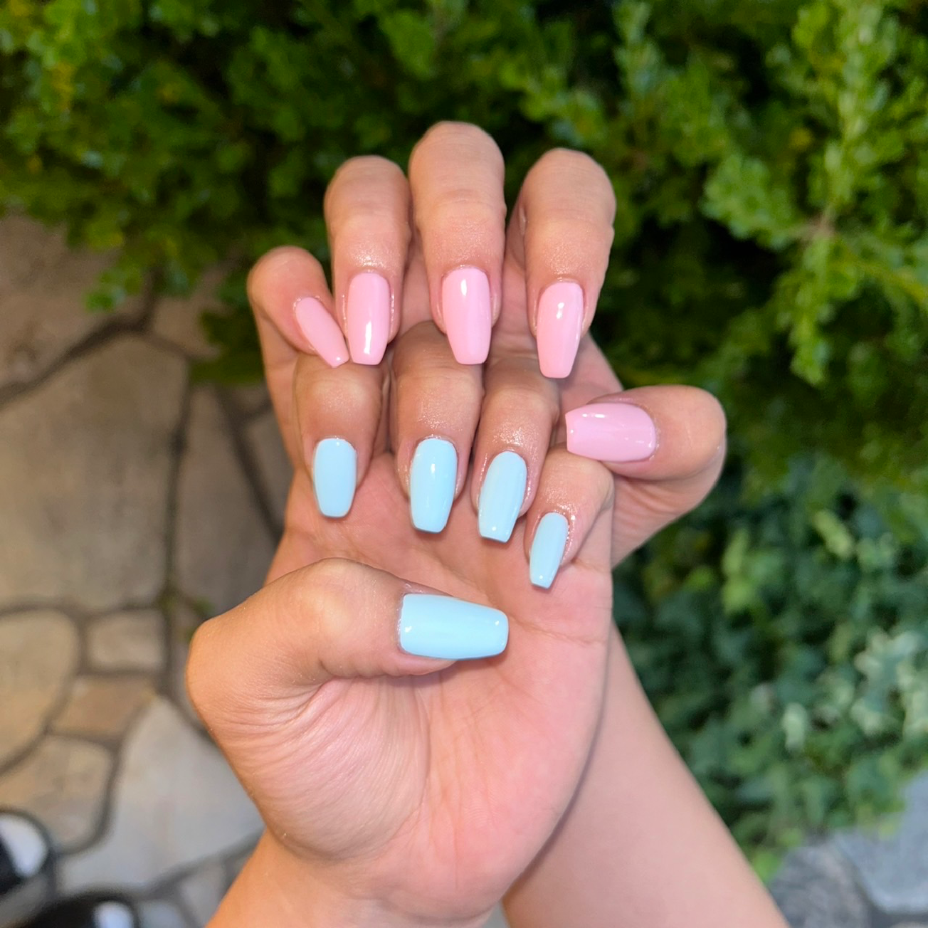 🩵one color or lame gradation🩵