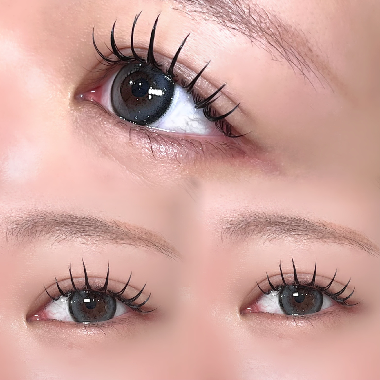 ˗ˏˋ ★バインドロック 120束★ ˎˊ˗