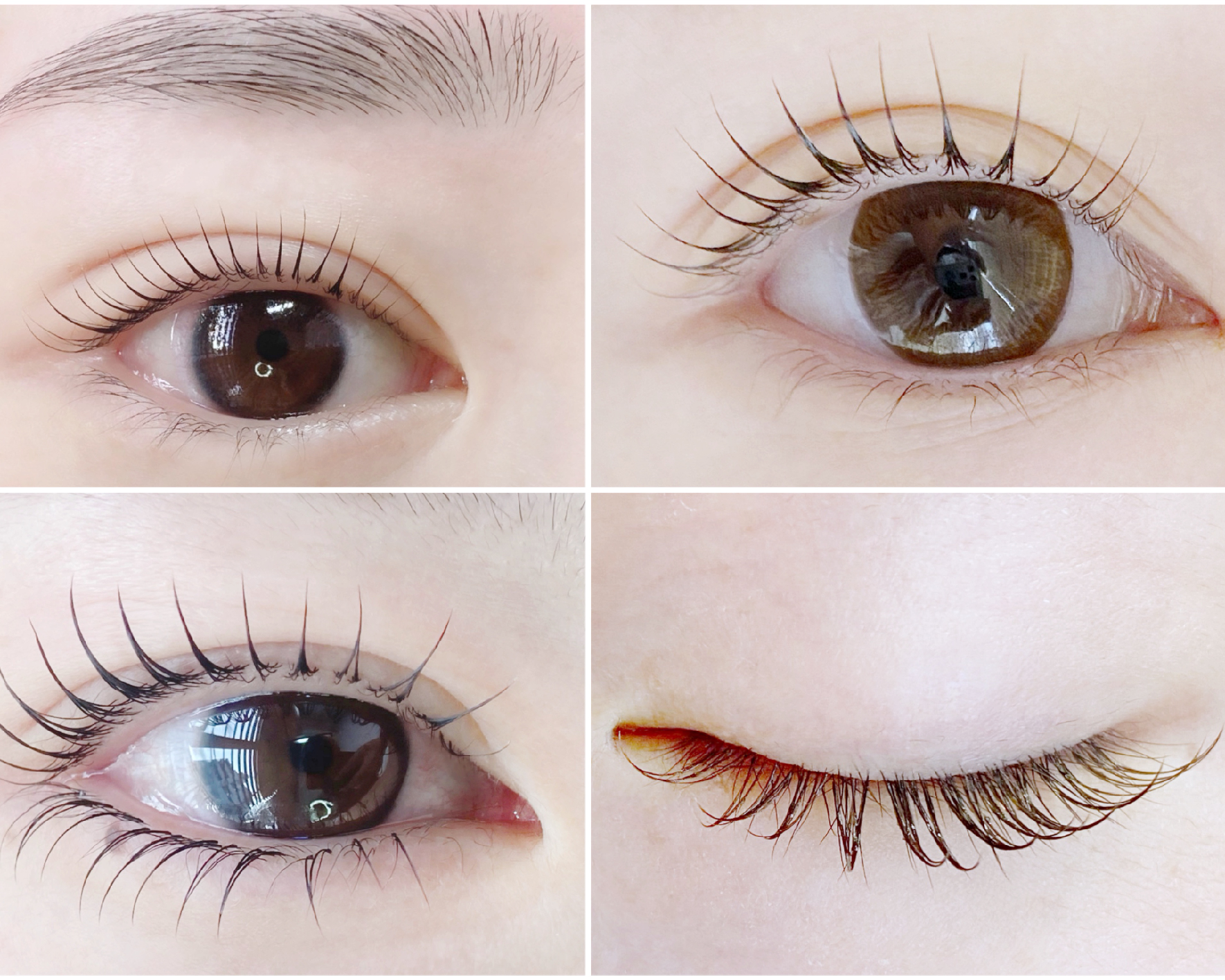  Claris by neo 武蔵小杉 パラジェル認定サロン/パリジェンヌ＆healthy導入サロン