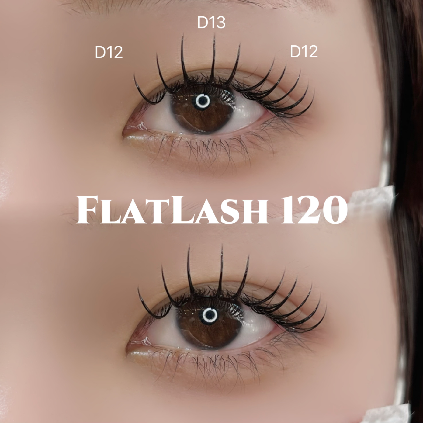 🪐7月限定🪐フラットラッシュ120本orバインドロック80束
