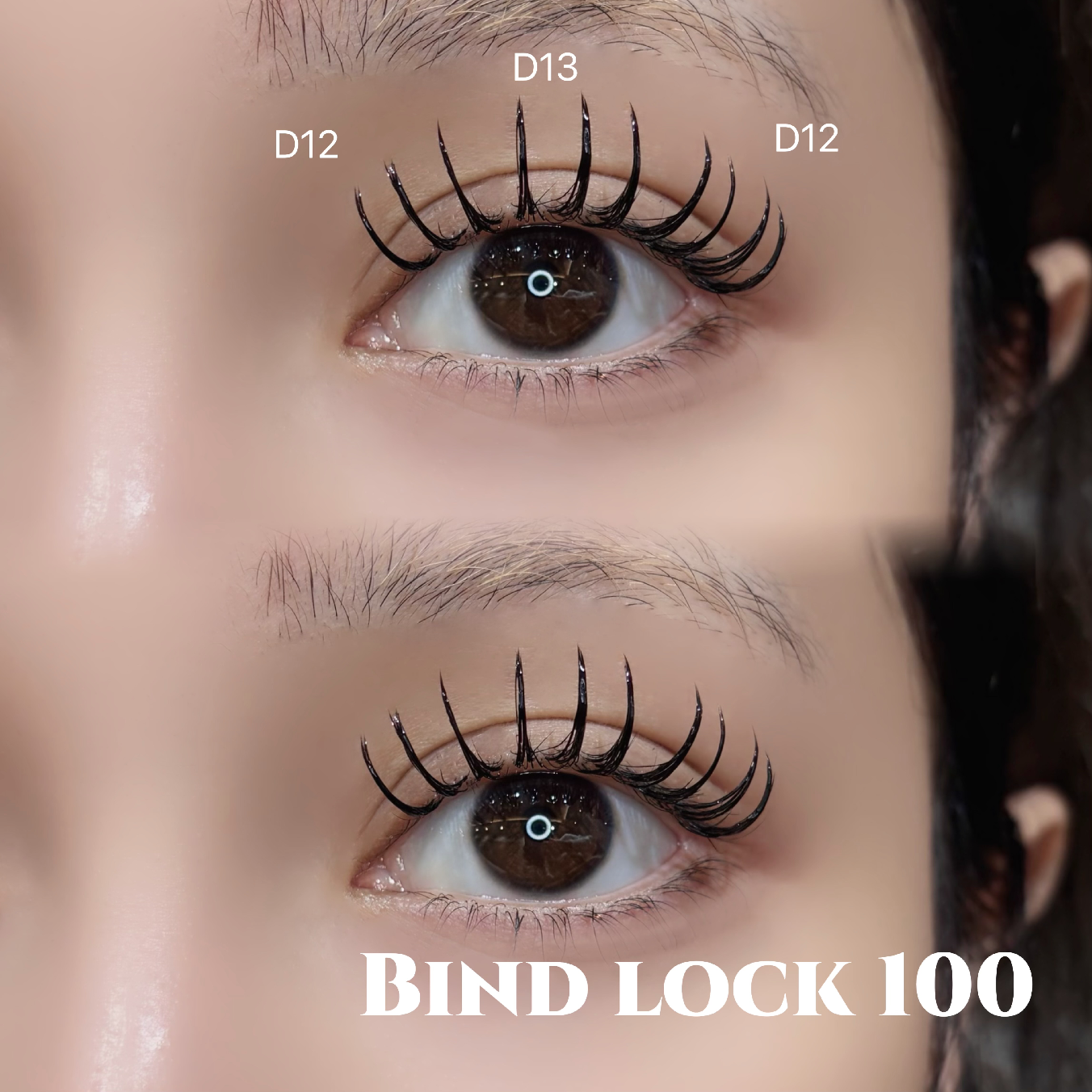 🌼もち抜群🌼バインドロック100束(再来+330円)