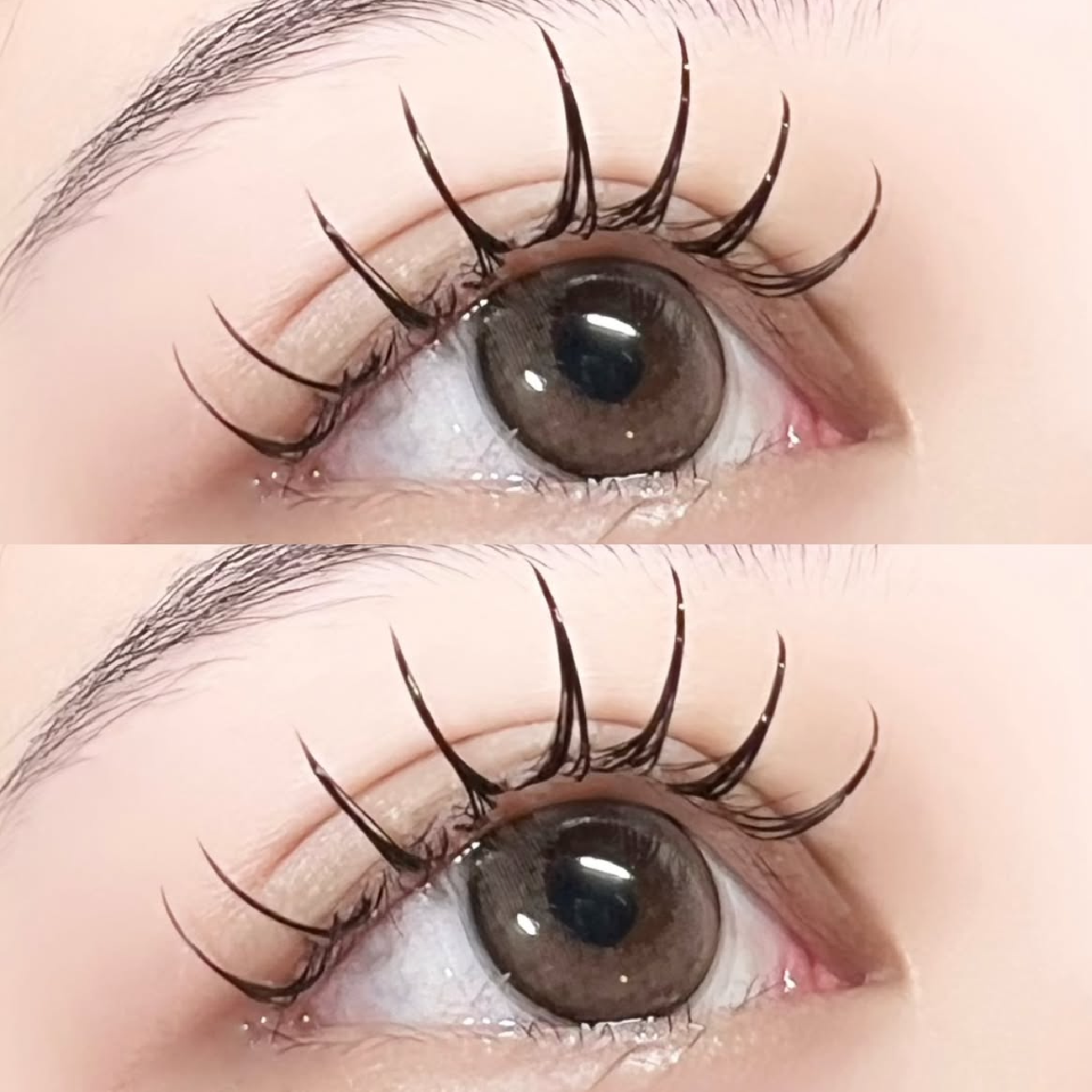 大人気✨持ち抜群バインドロック80束🎀