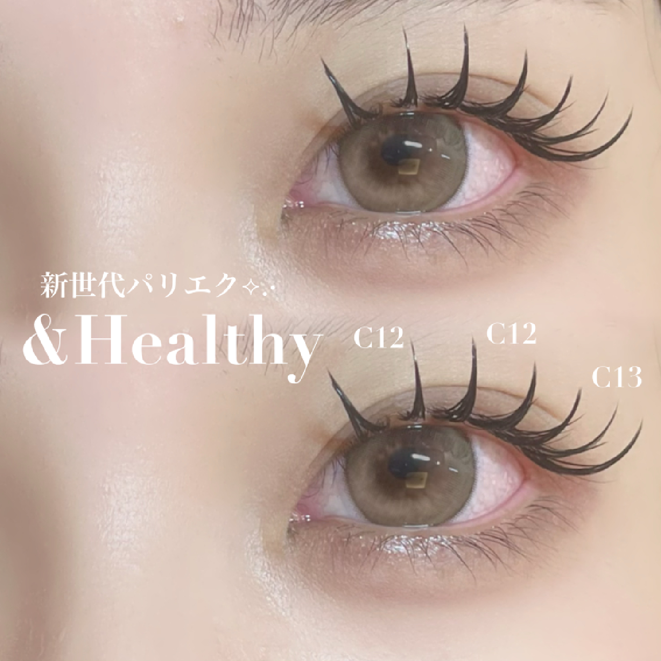 〖&Healthy(アンドヘルシー)〗🌟バインドロック100束