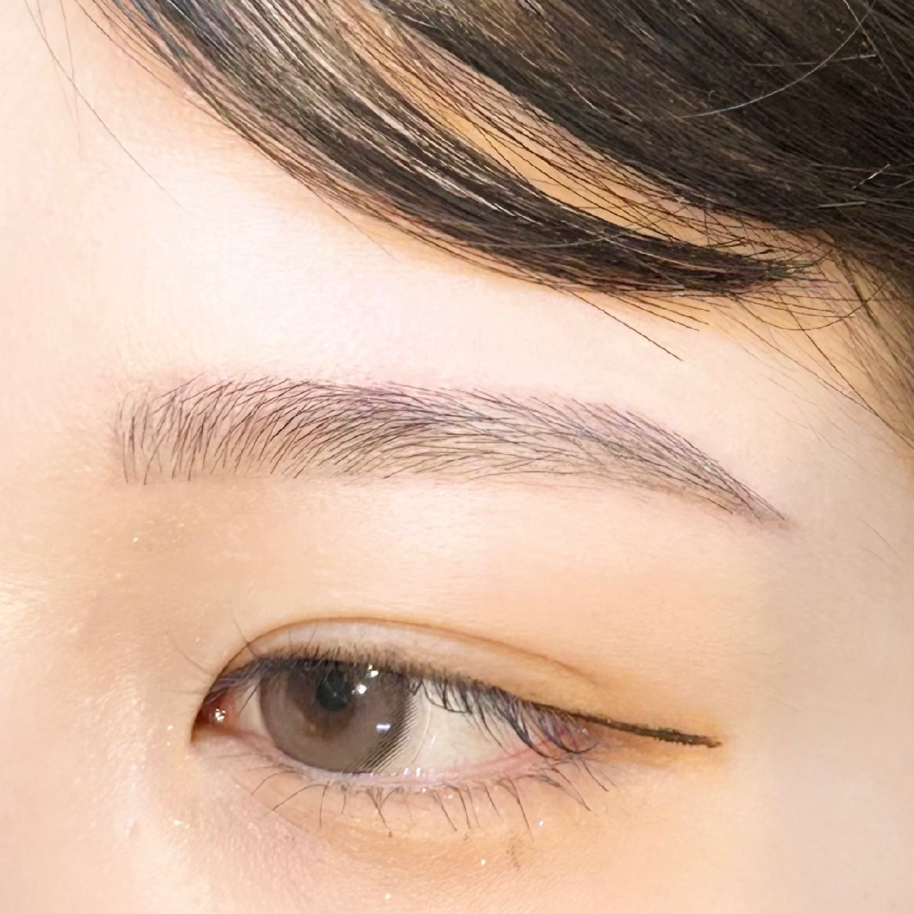 眉毛wax🌱