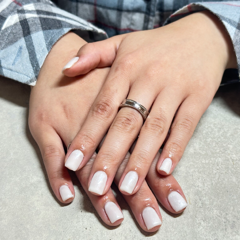 🍨🧁one color or lame gradation🧁🍨