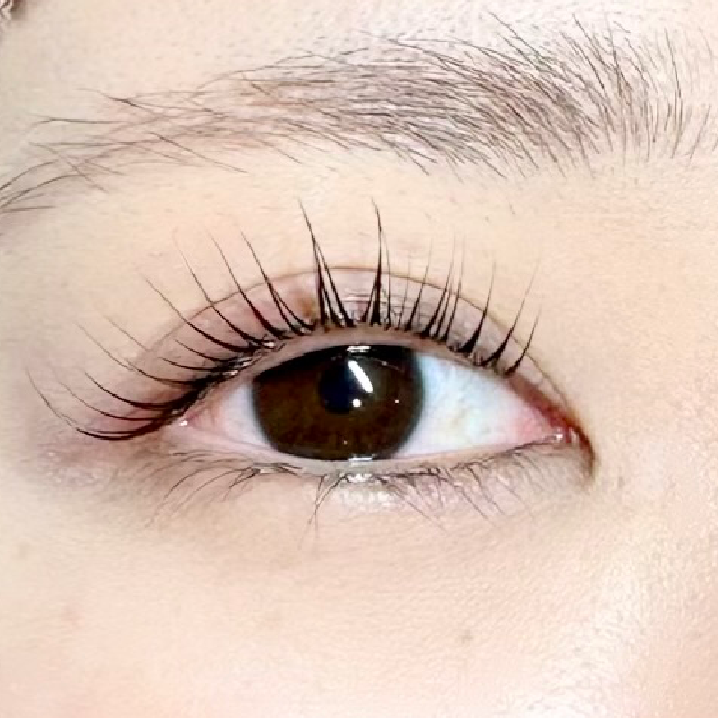 パリジェンヌorラッシュリフト×美眉WAX🩰