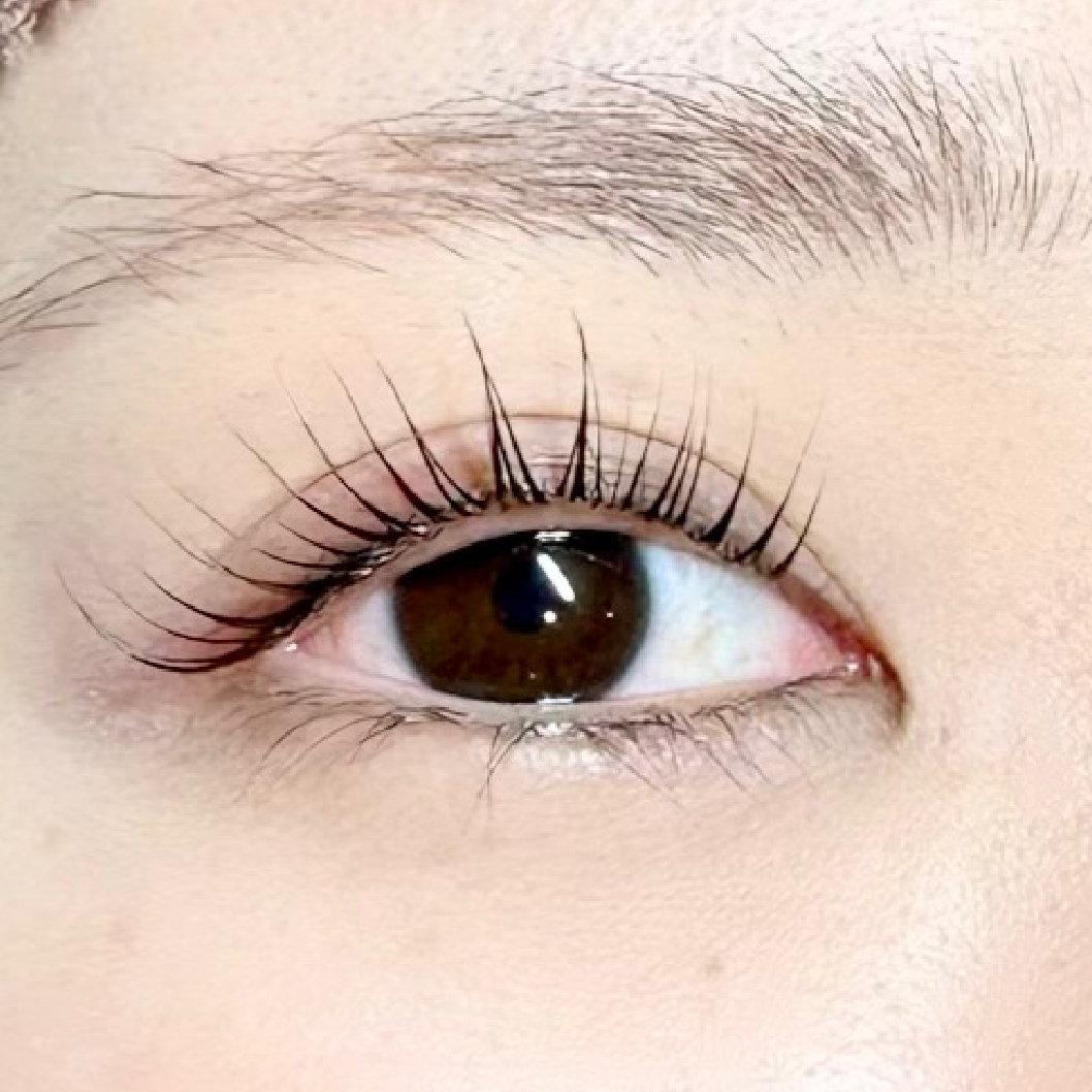🩰パリジェンヌorラッシュリフト×美眉WAX🩰