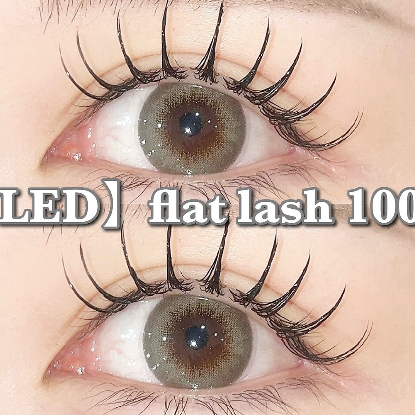 LEDフラットラッシュ　100本