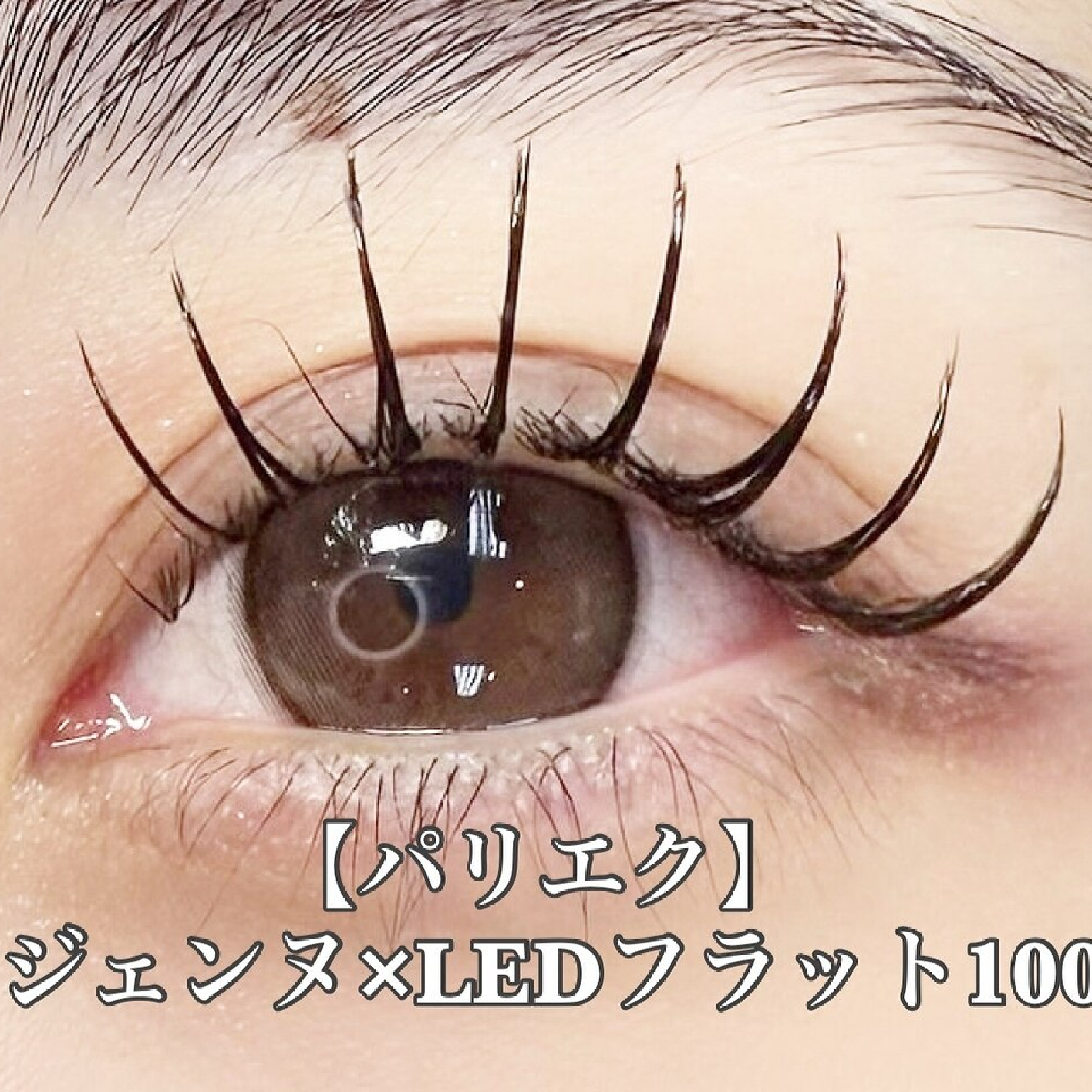 【LEDパリエク】長持ち★パリジェンヌ×LEDフラットラッシュ100本(オフ込)
