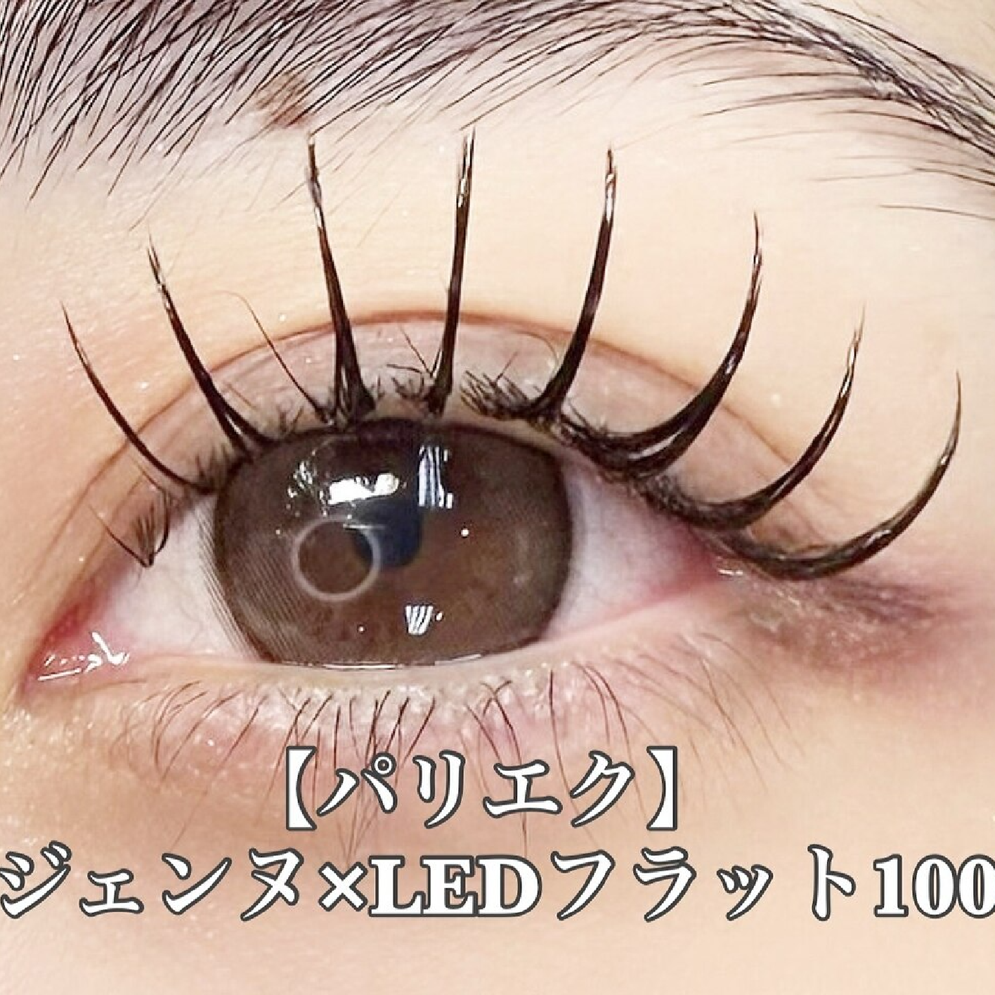 【LEDパリエク】長持ち★パリジェンヌ×LEDフラットラッシュ100本(オフ込)