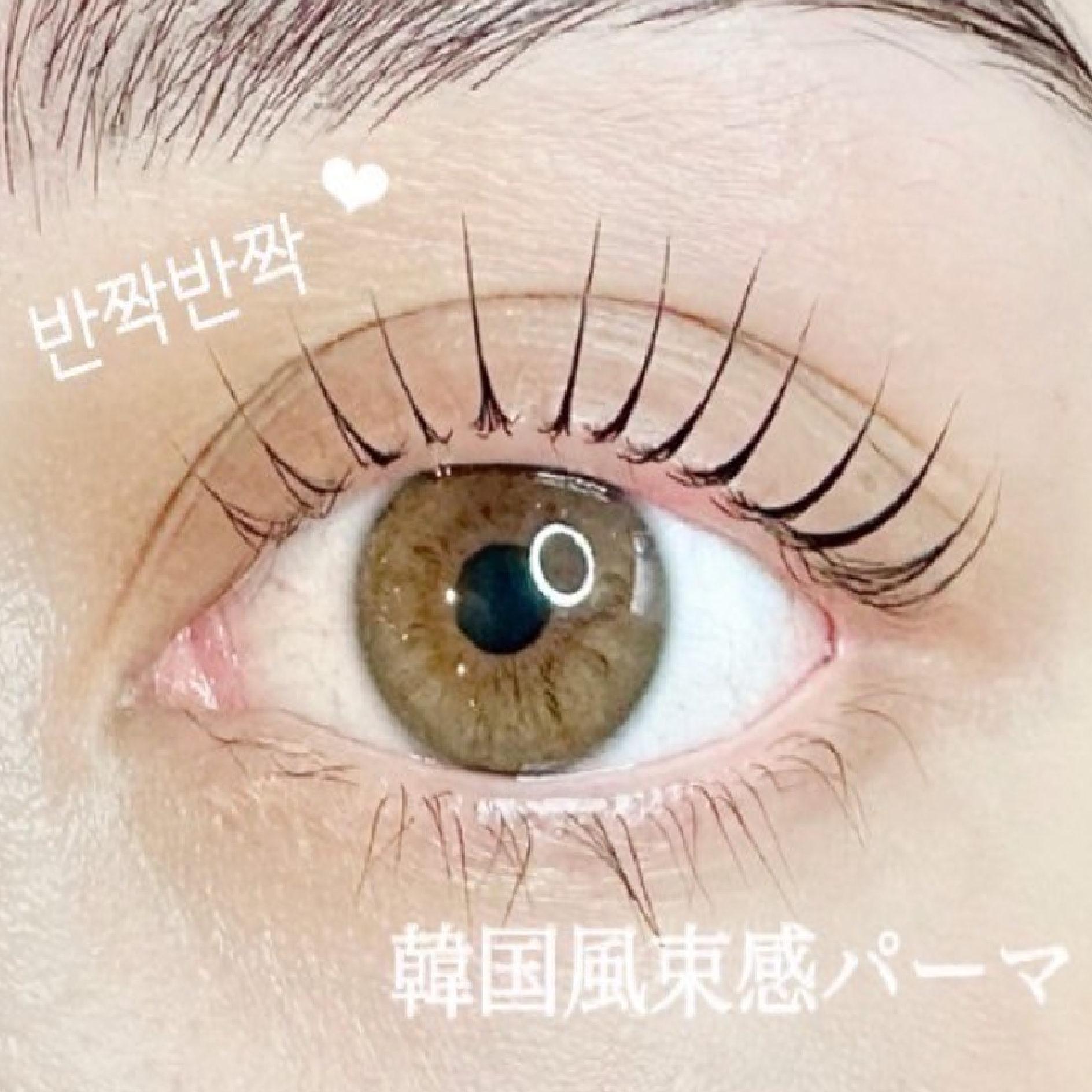 【人気No.1】＊韓国風束感＊まつげパーマ＋高濃度トリートメント