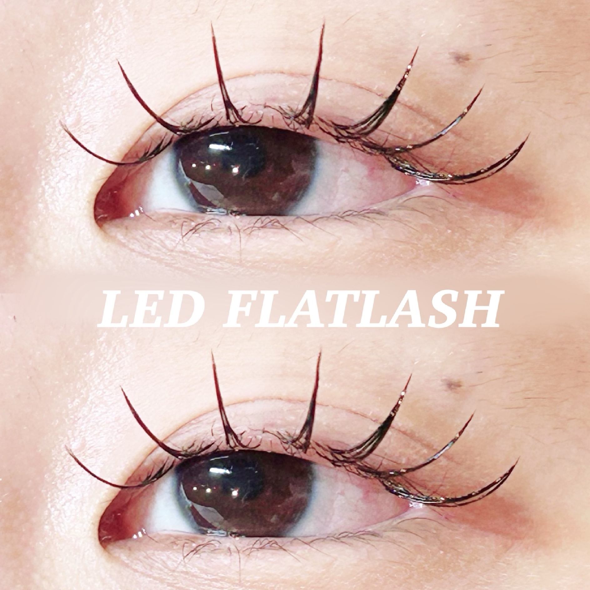 【LED】フラットラッシュ100本