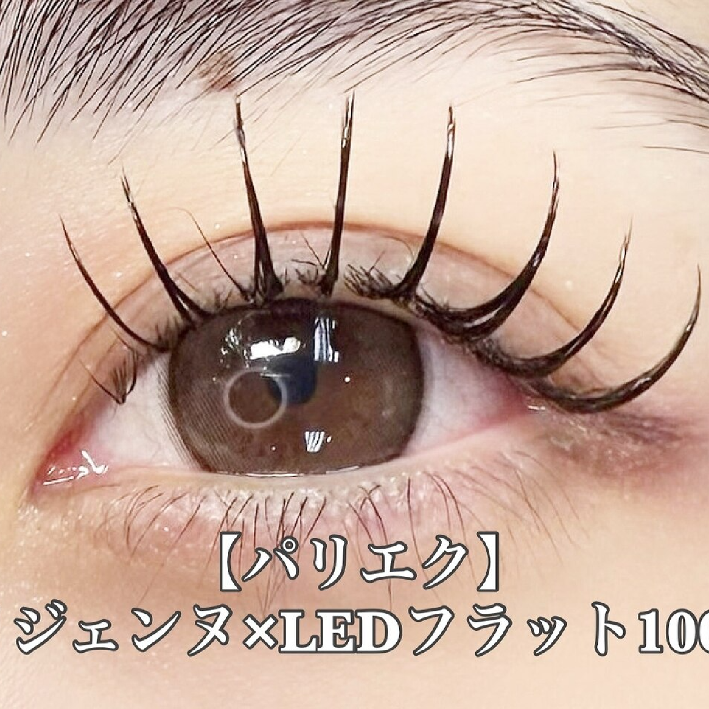 【LEDパリエク】長持ち★パリジェンヌ×LEDフラットラッシュ100本(オフ込)