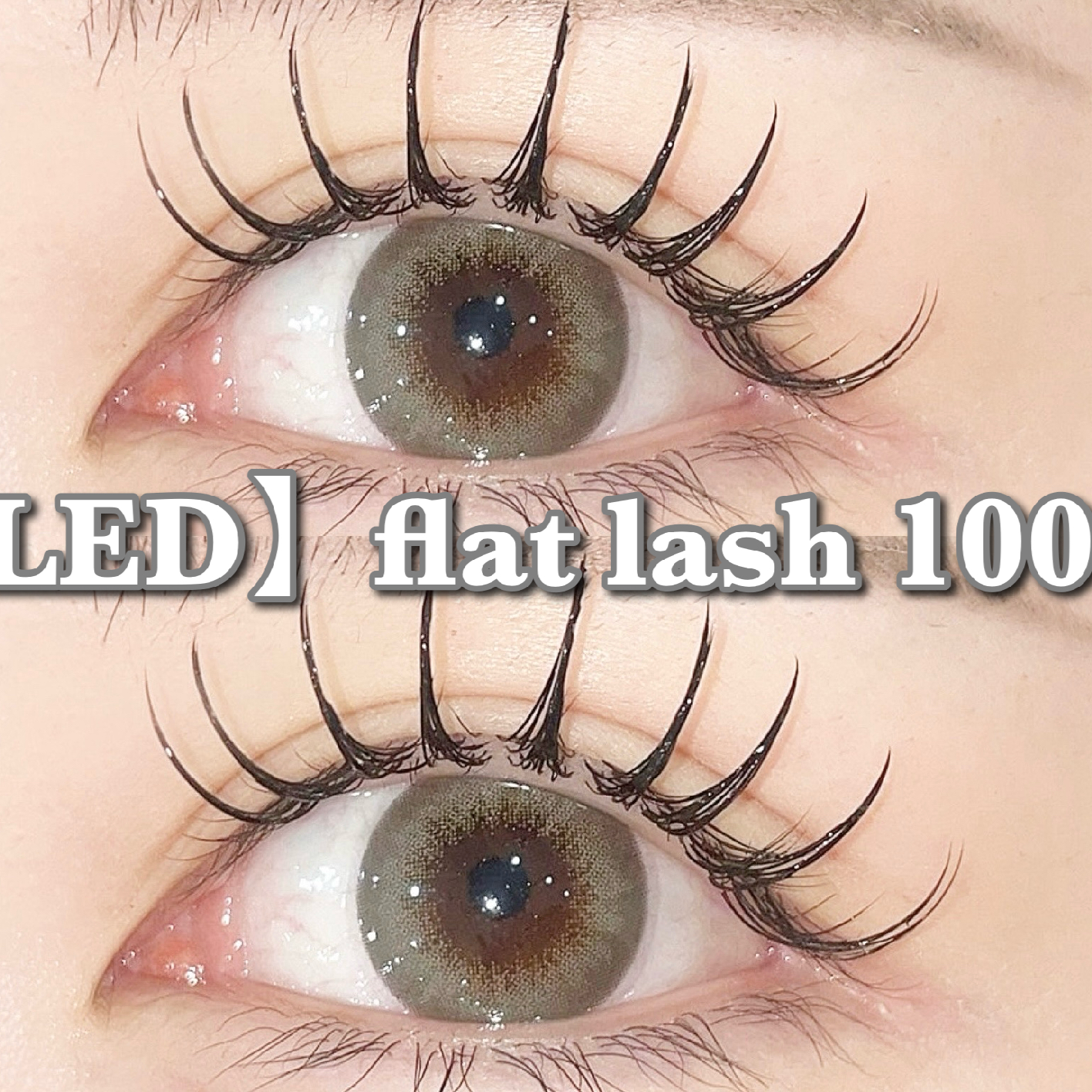 【LEDマツエク】高持続LEDフラットラッシュ100本［オフ込］