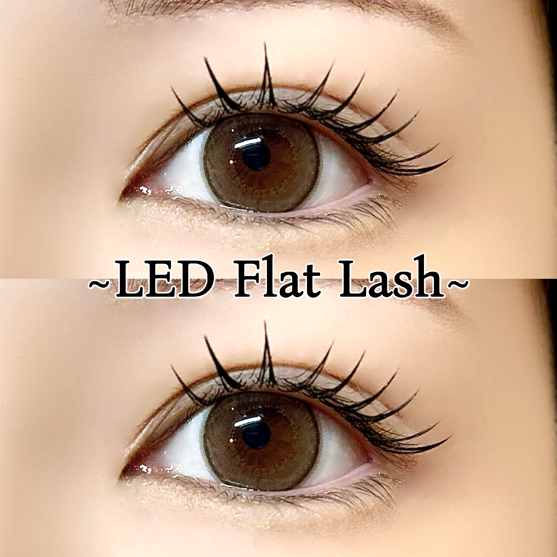 LEDマツエク　フラットラッシュ120本