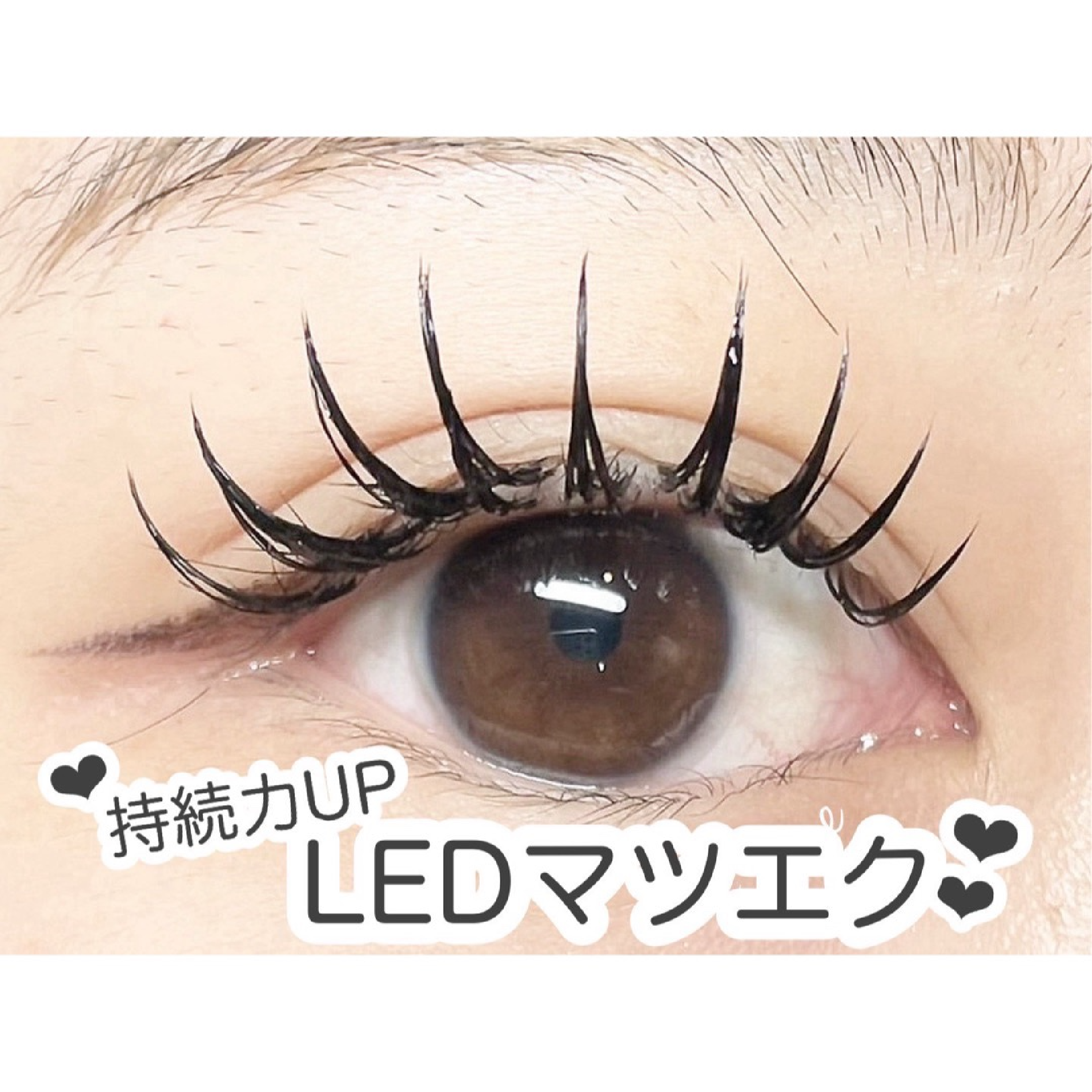【LED】フラットラッシュ100本