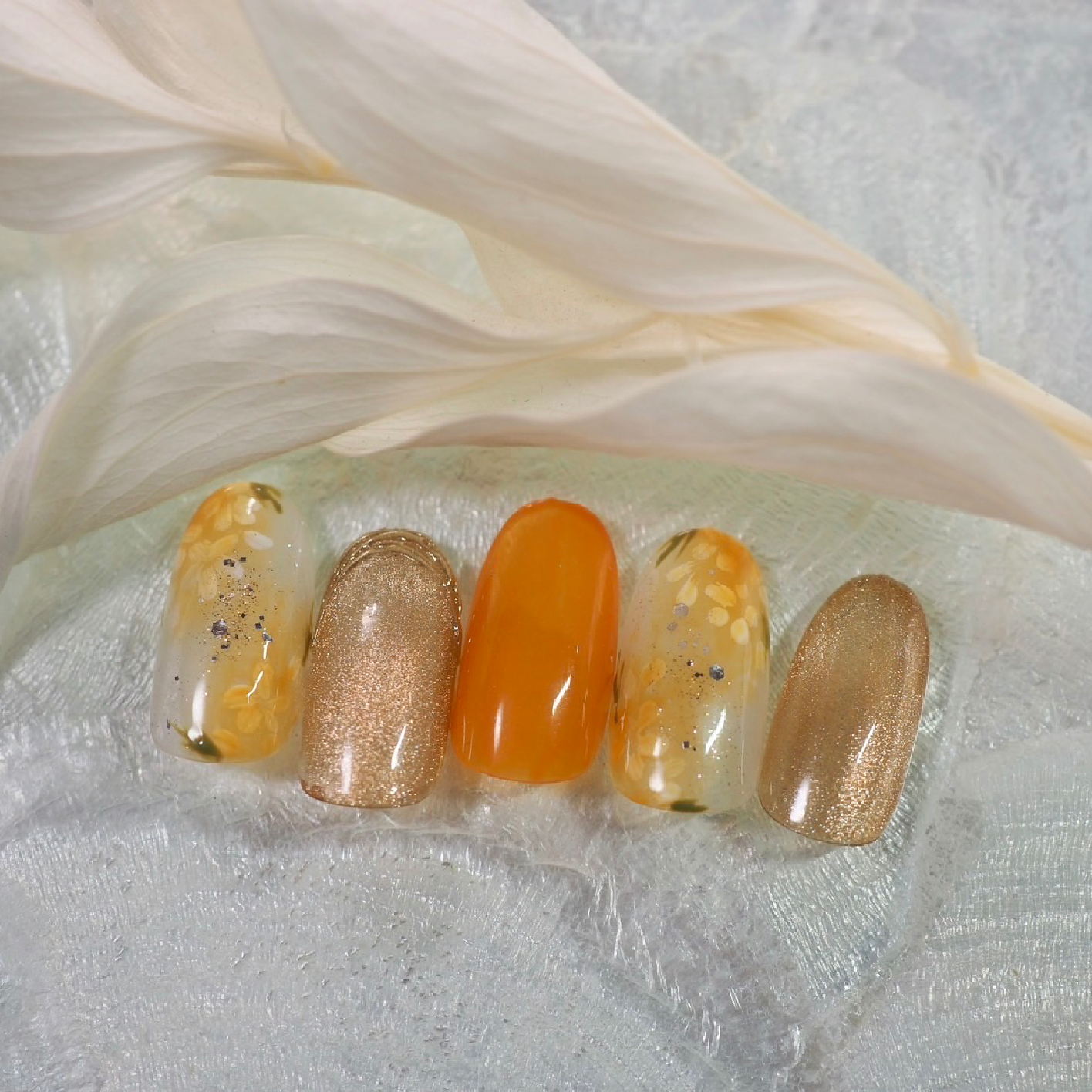 定額デザインBコース