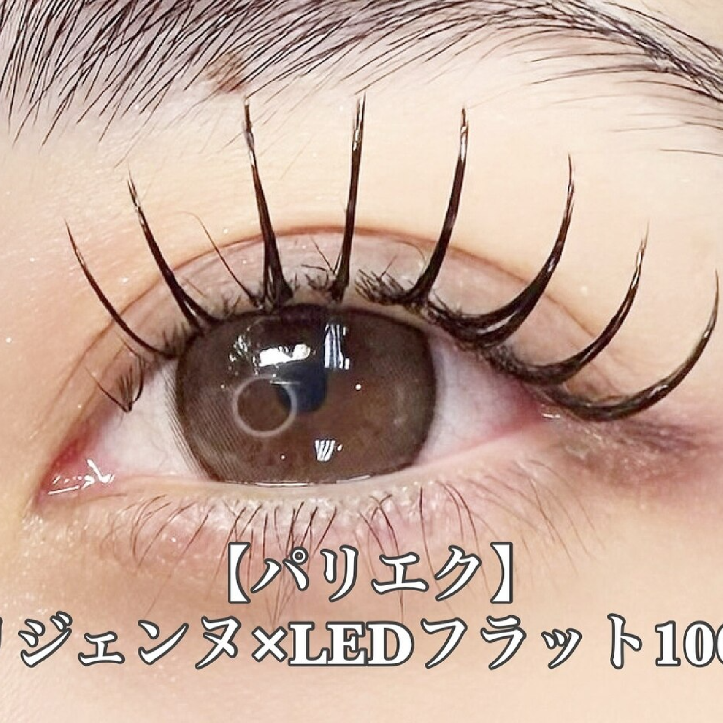 【LEDパリエク】パリジェンヌ×LEDフラットラッシュ100本(オフ込)