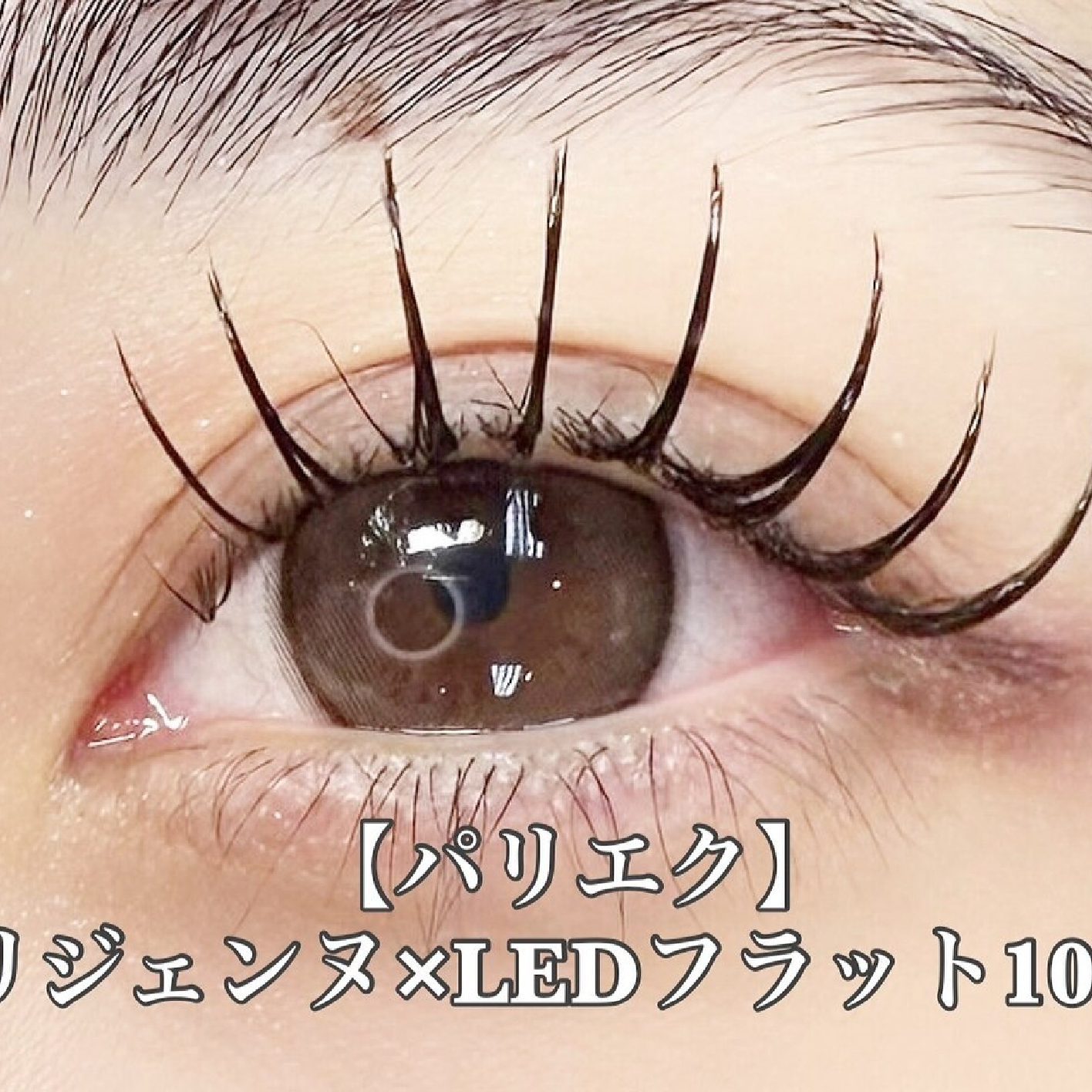 【LEDパリエク】パリジェンヌ×LEDフラットラッシュ100本(オフ込)