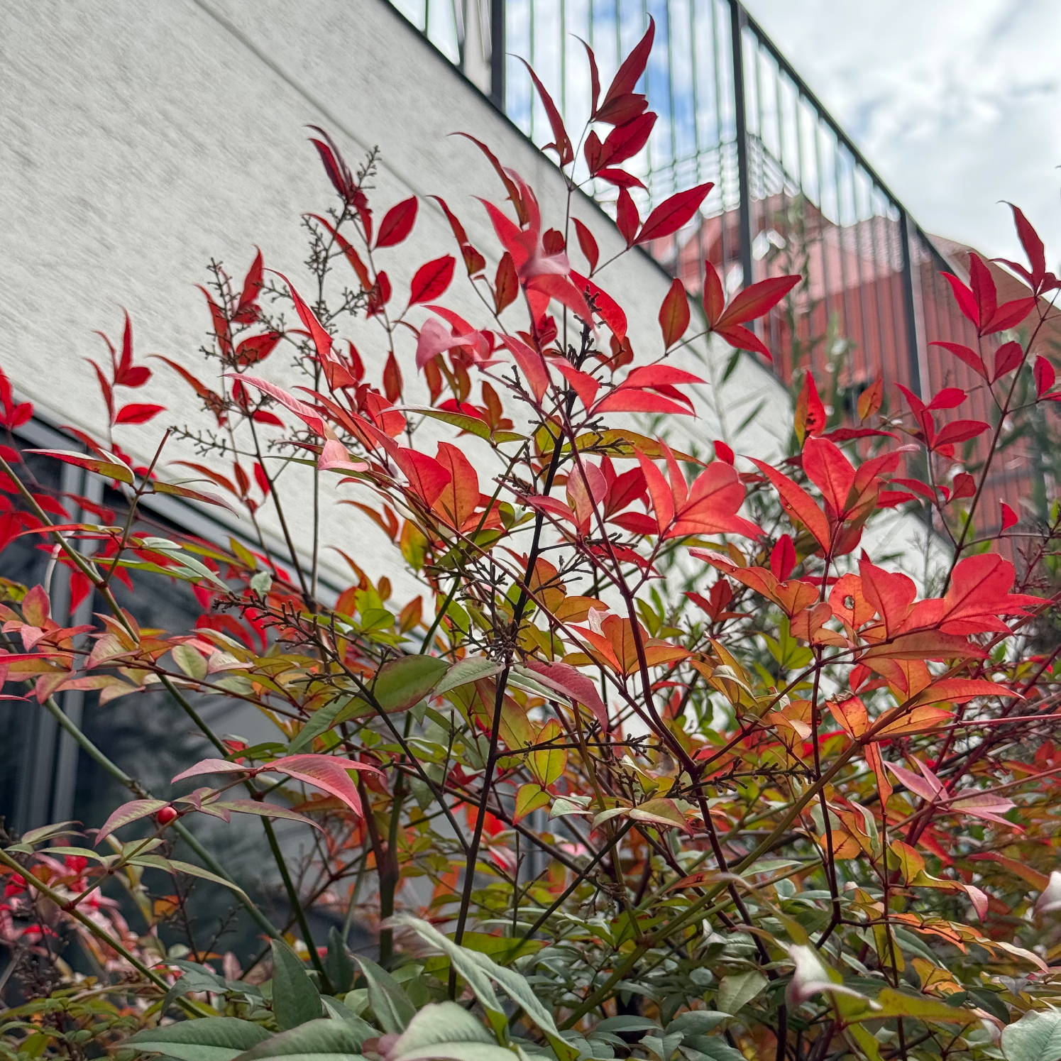 ※12月より新人スタッフ育成の為、メニューに変更がございます。