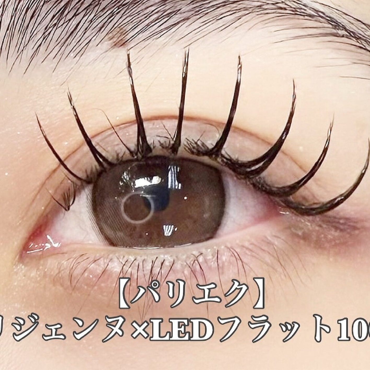 【LEDパリエク】パリジェンヌ×LEDフラットラッシュ100本(オフ込)