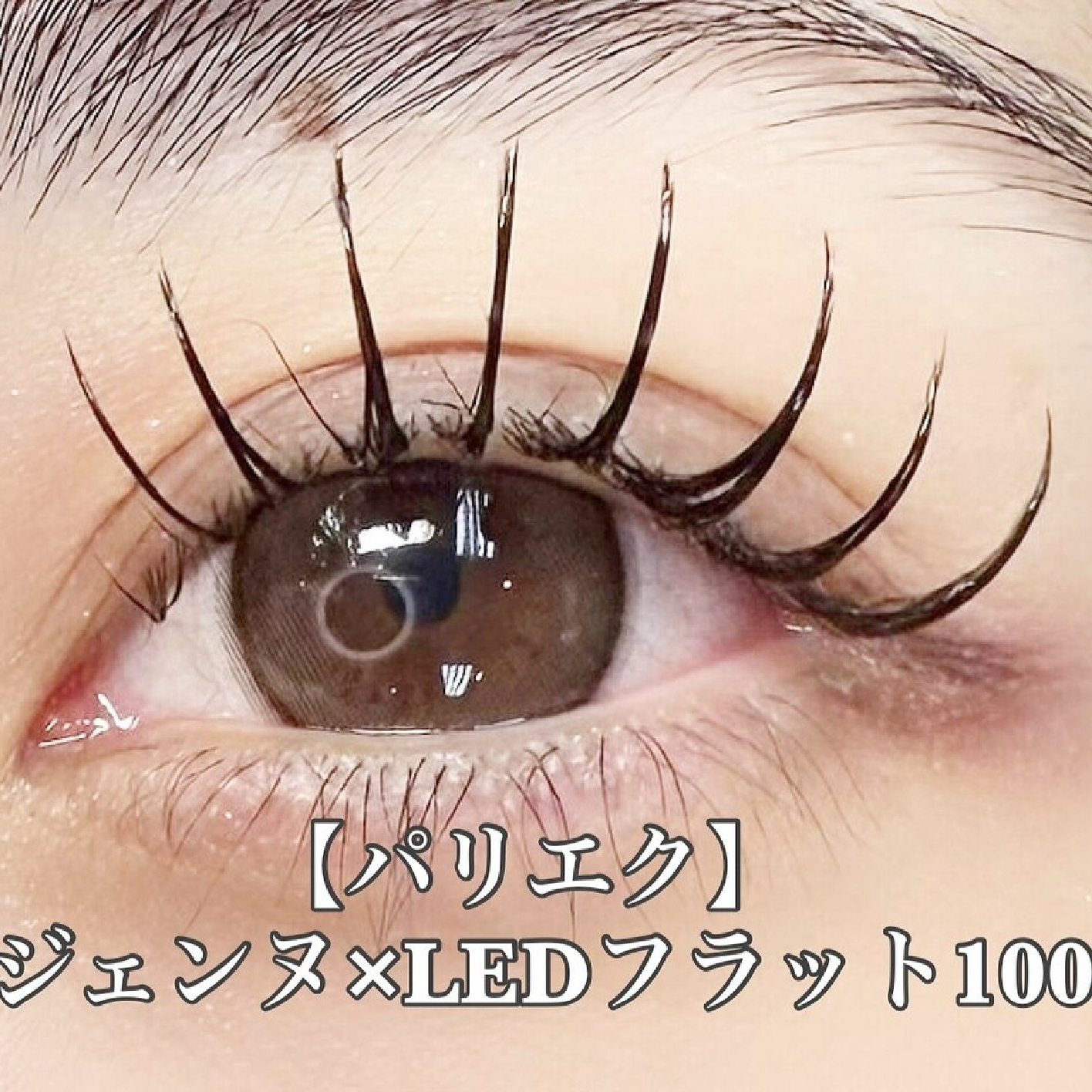 【LEDパリエク】長持ち★パリジェンヌ×LEDフラットラッシュ100本(オフ込)