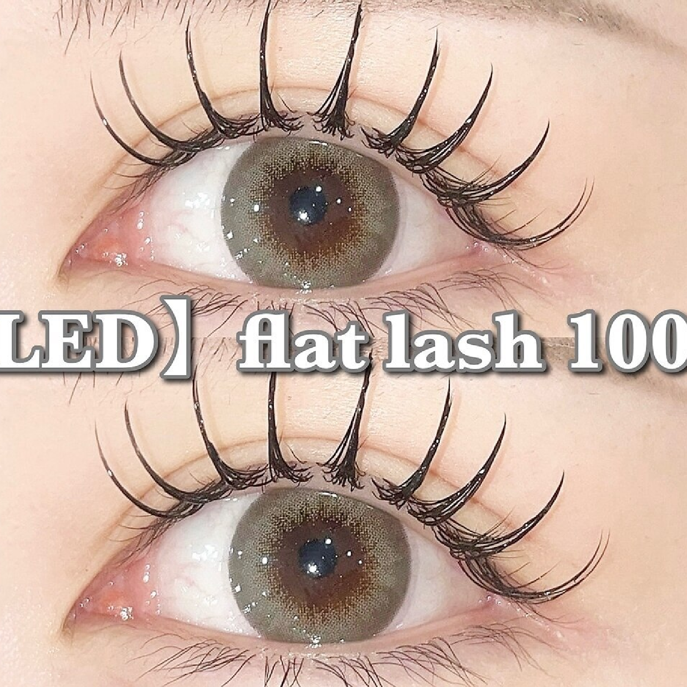 LEDマツエクフラットラッシュ100本(オフ込)