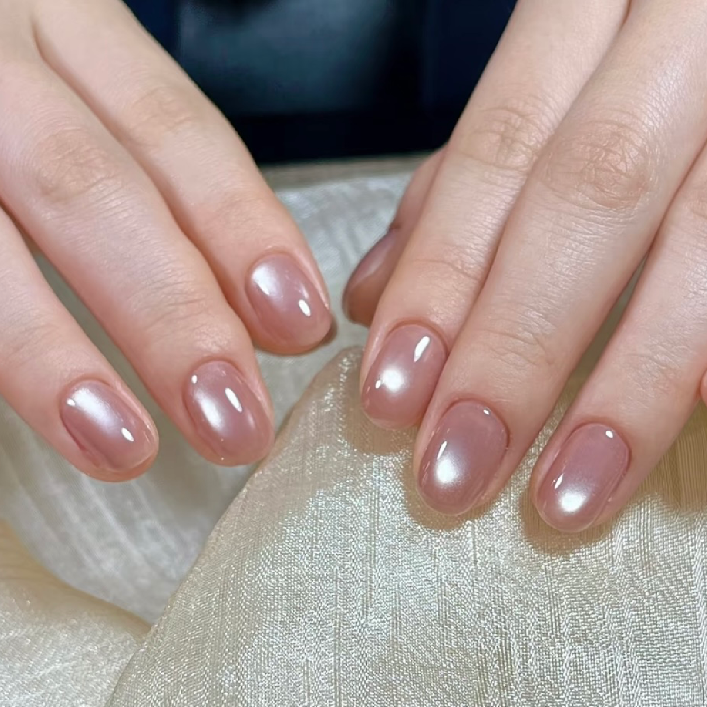 インスタで人気【ぷるぷる水光マグネット】ネイル