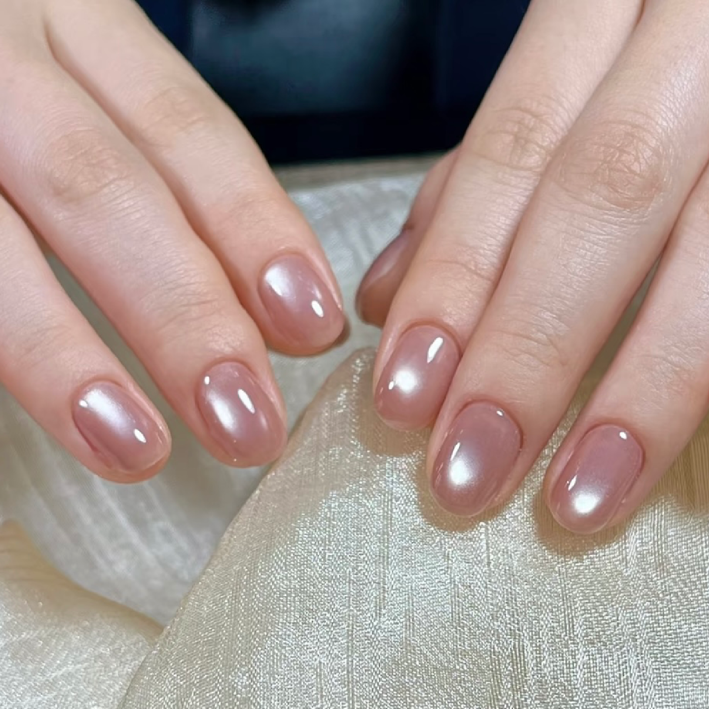 【再来様】インスタで人気【ぷるぷる水光マグネット】ネイル