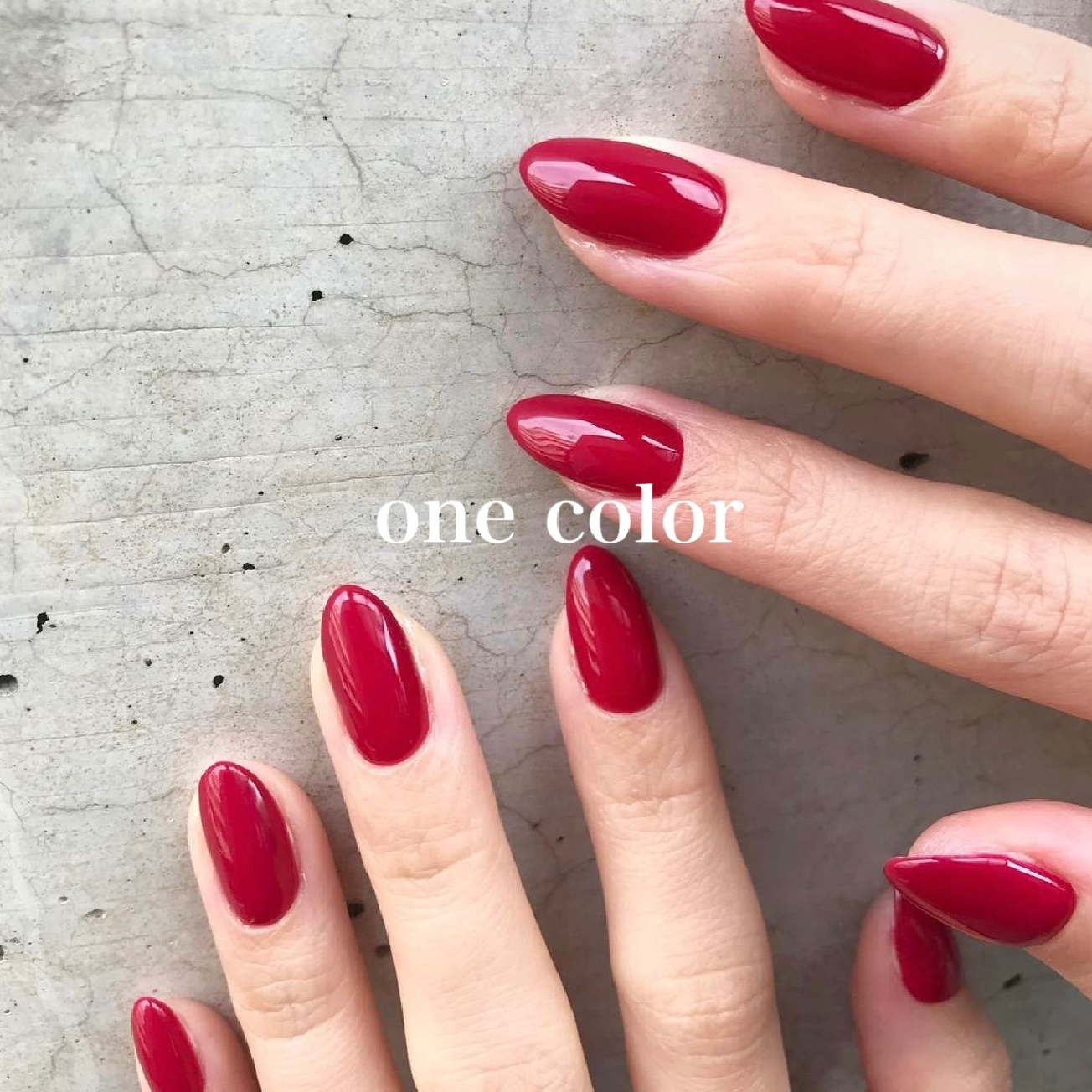 【新規】one color