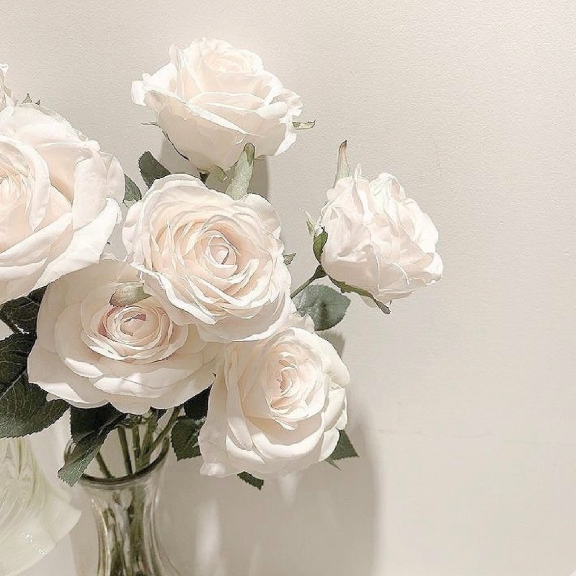 チップ長さ出し（5本～10本）5本3000円～