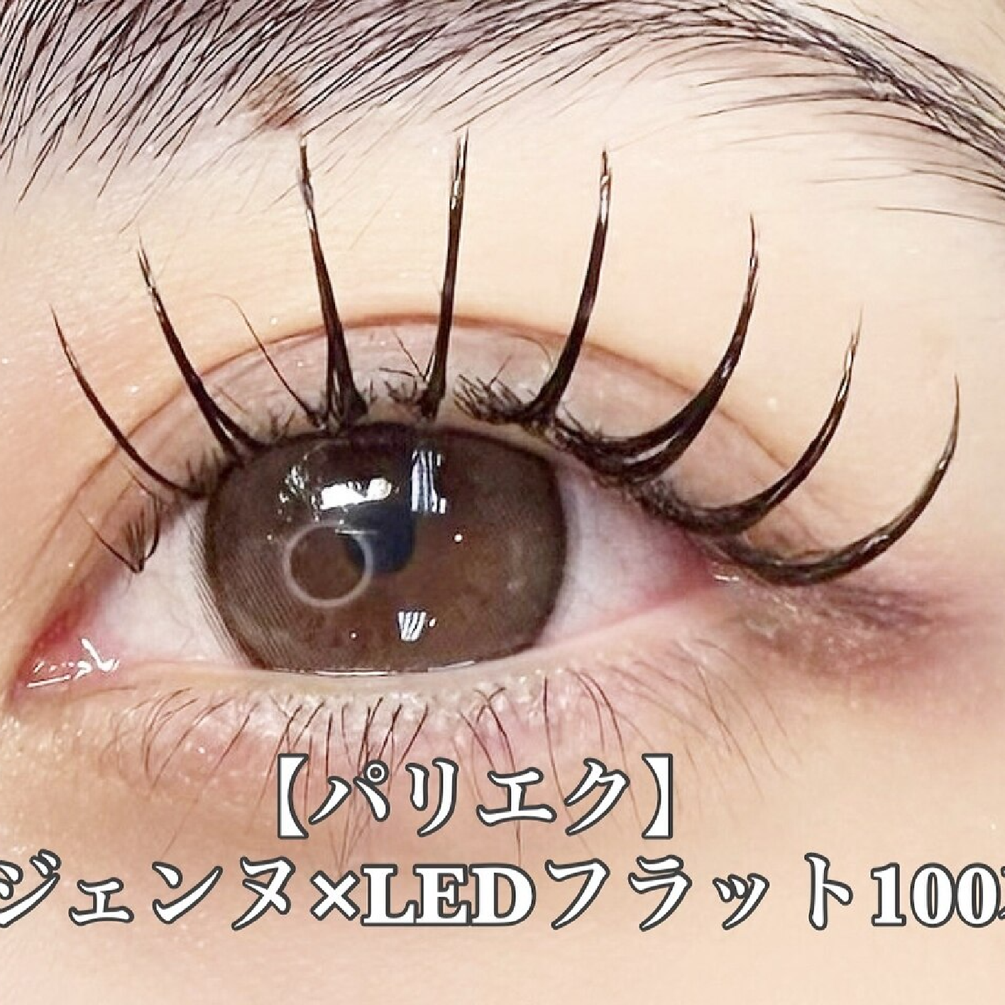 【LEDパリエク】パリジェンヌ×LEDフラットラッシュ100本(オフ込)