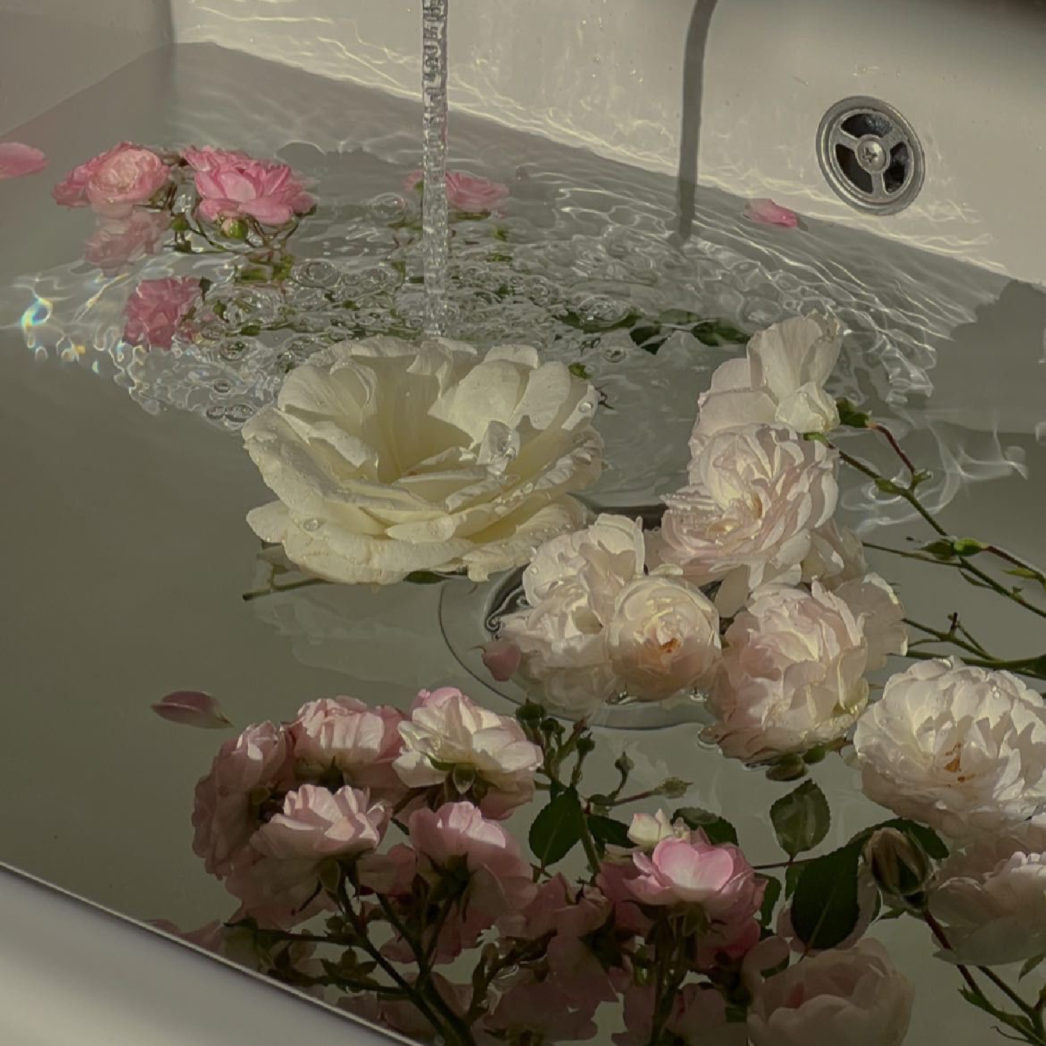 長さ出し３〜５本