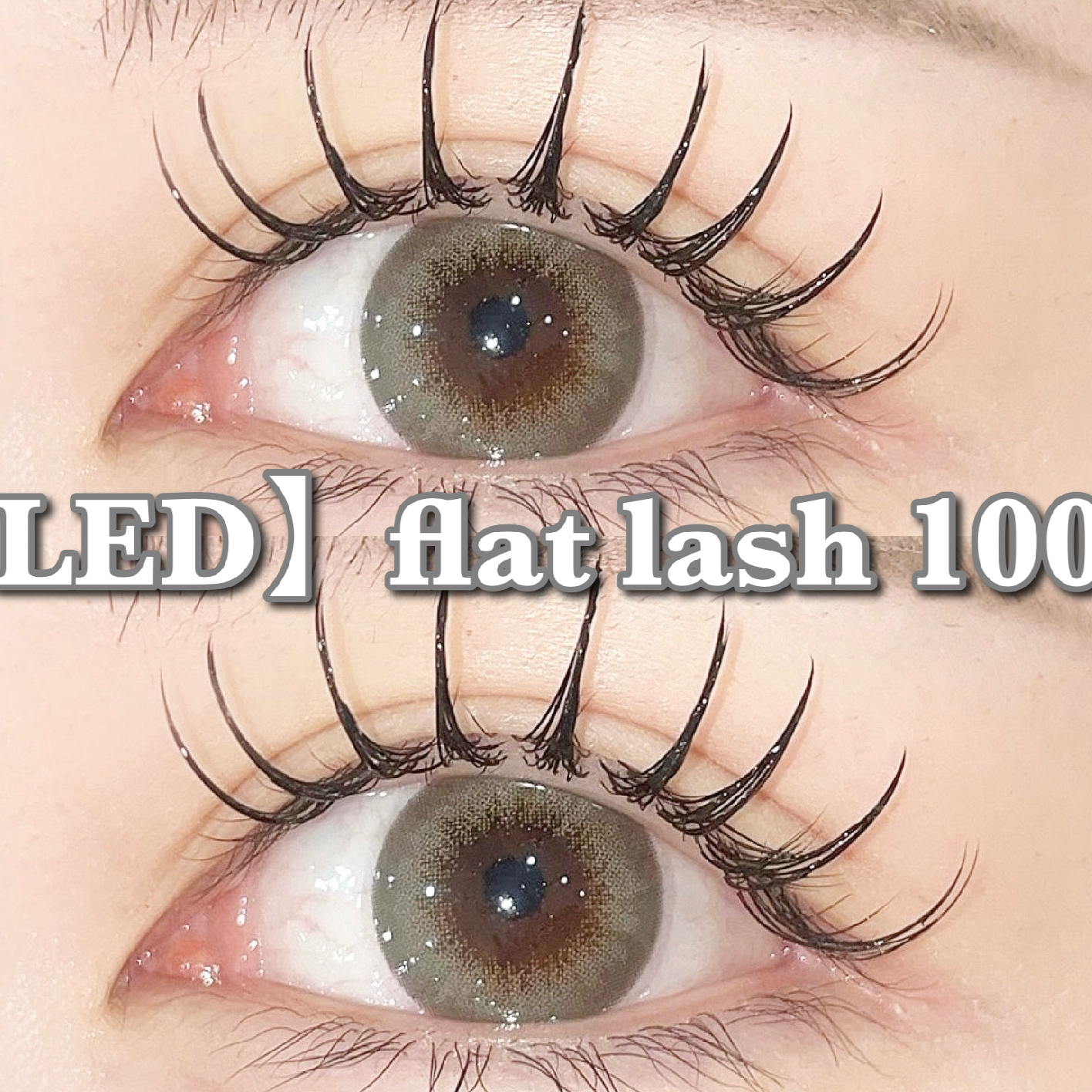 【LEDマツエク】高持続LEDフラットラッシュ100本［オフ込］