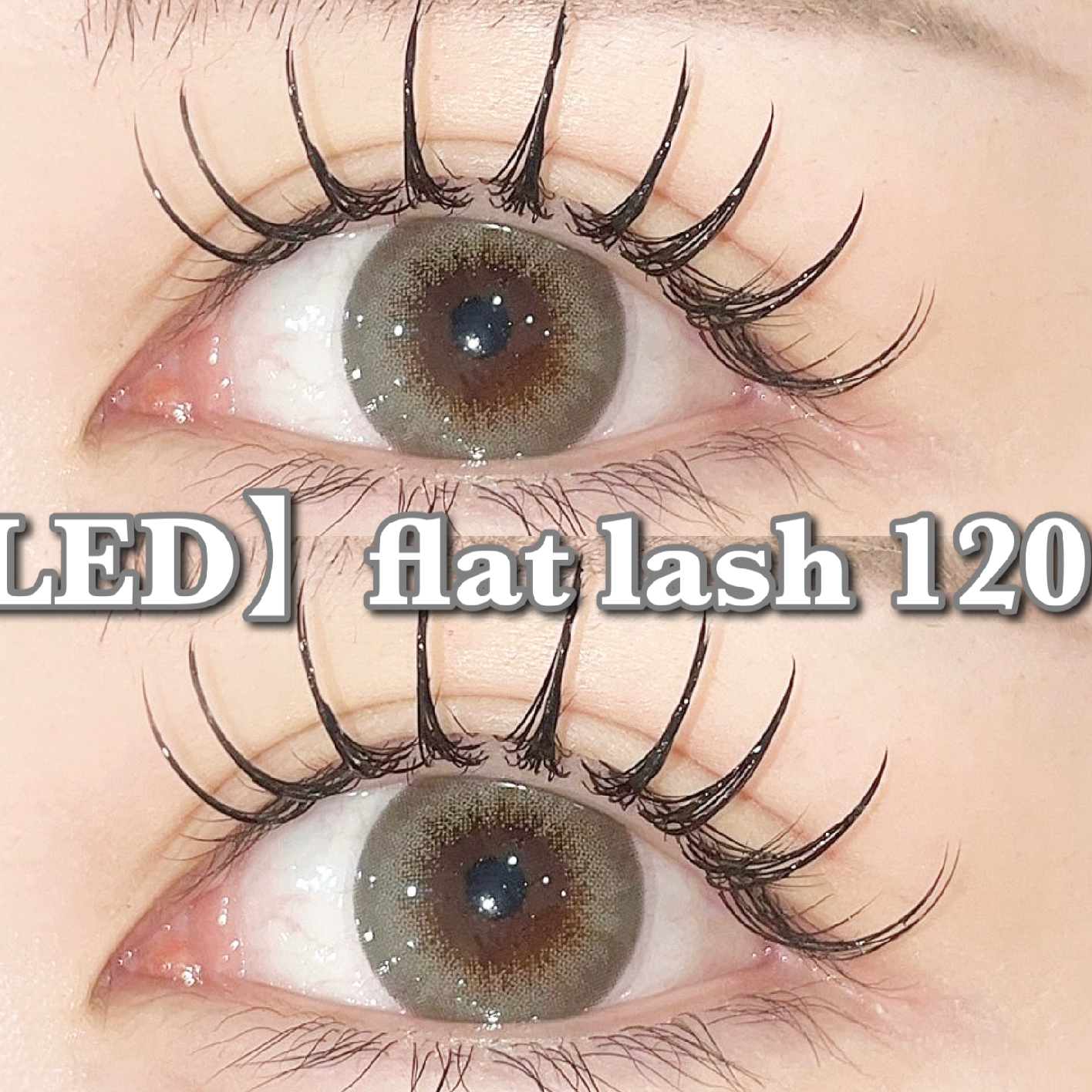 【LEDマツエク】高持続LEDフラットラッシュ120本［オフ込］